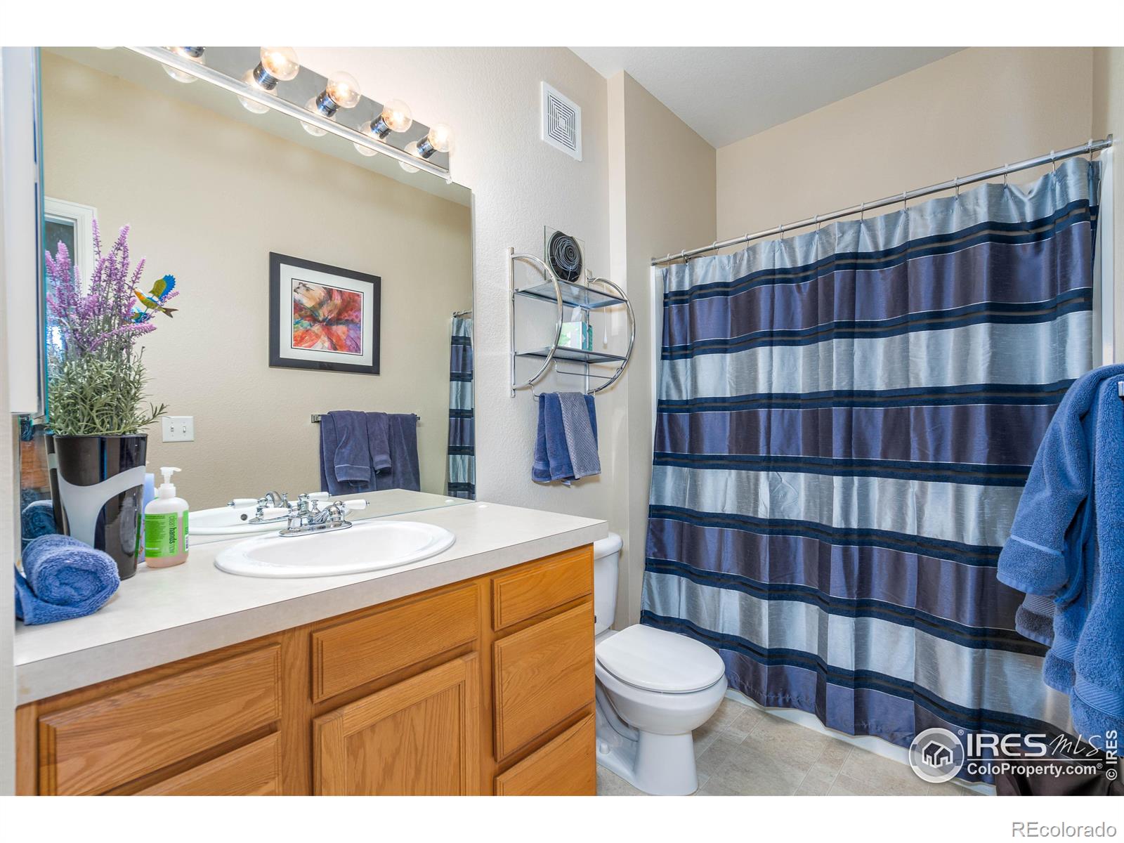 MLS Image #27 for 2019  grays peak drive,loveland, Colorado