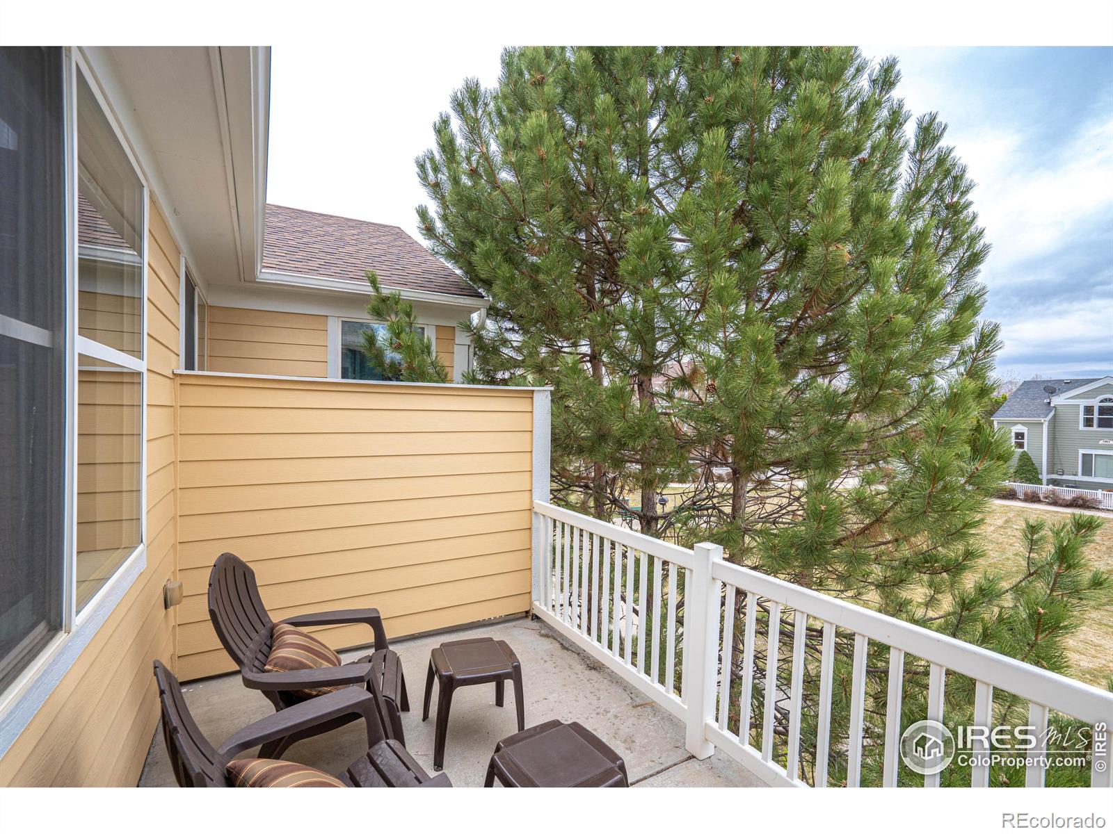 MLS Image #30 for 2019  grays peak drive,loveland, Colorado