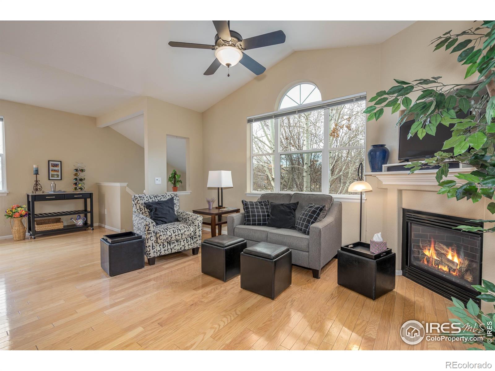 MLS Image #8 for 2019  grays peak drive,loveland, Colorado