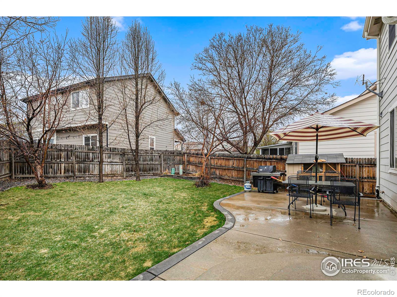 MLS Image #23 for 689  clarendon drive,longmont, Colorado