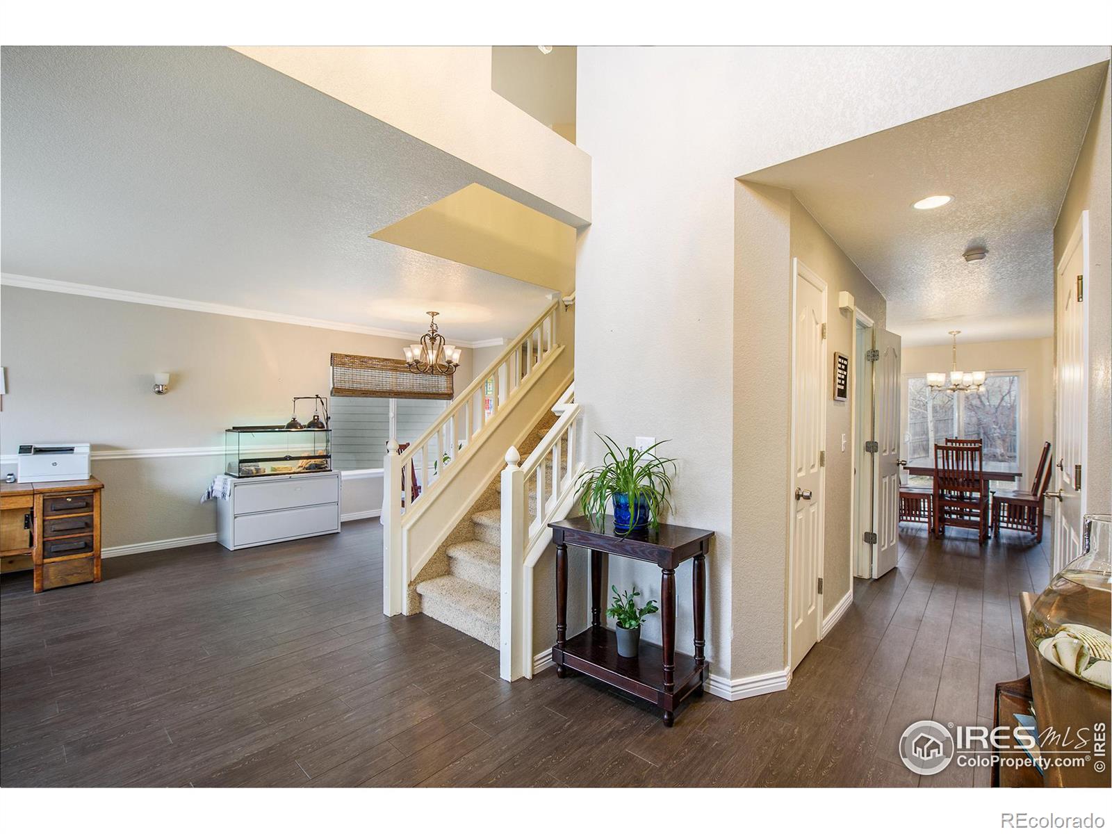 MLS Image #8 for 689  clarendon drive,longmont, Colorado