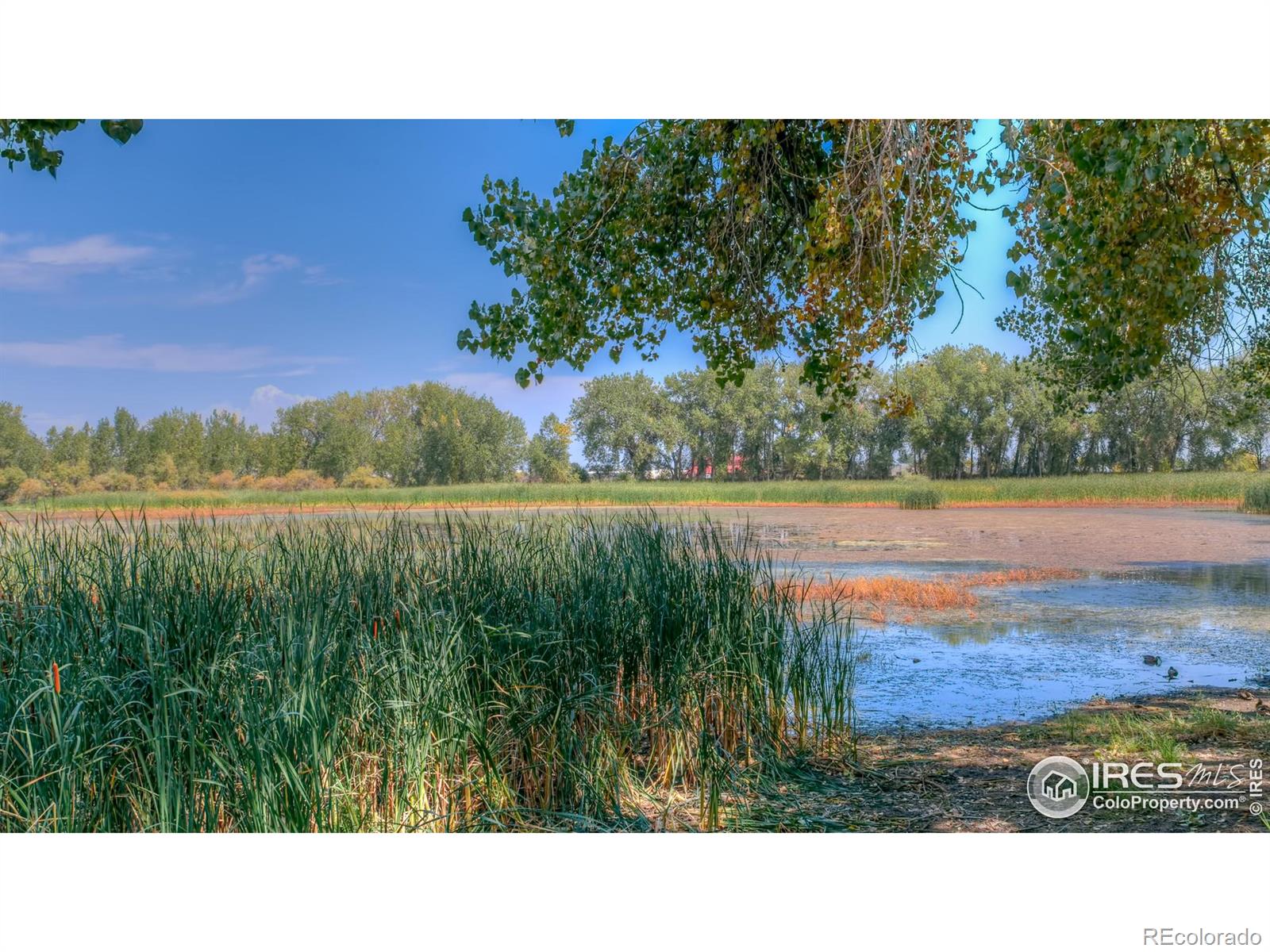 MLS Image #35 for 1145  sparta drive,lafayette, Colorado