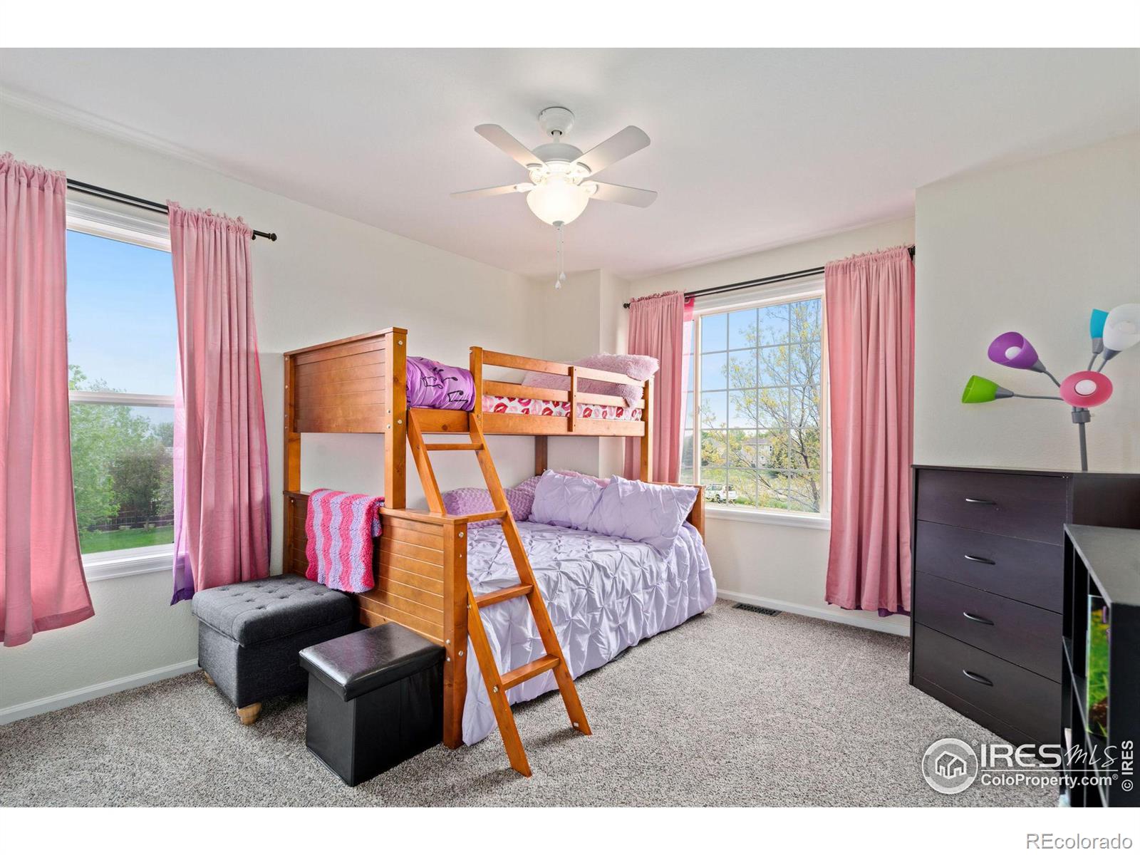 MLS Image #22 for 4481  ribbon court,loveland, Colorado