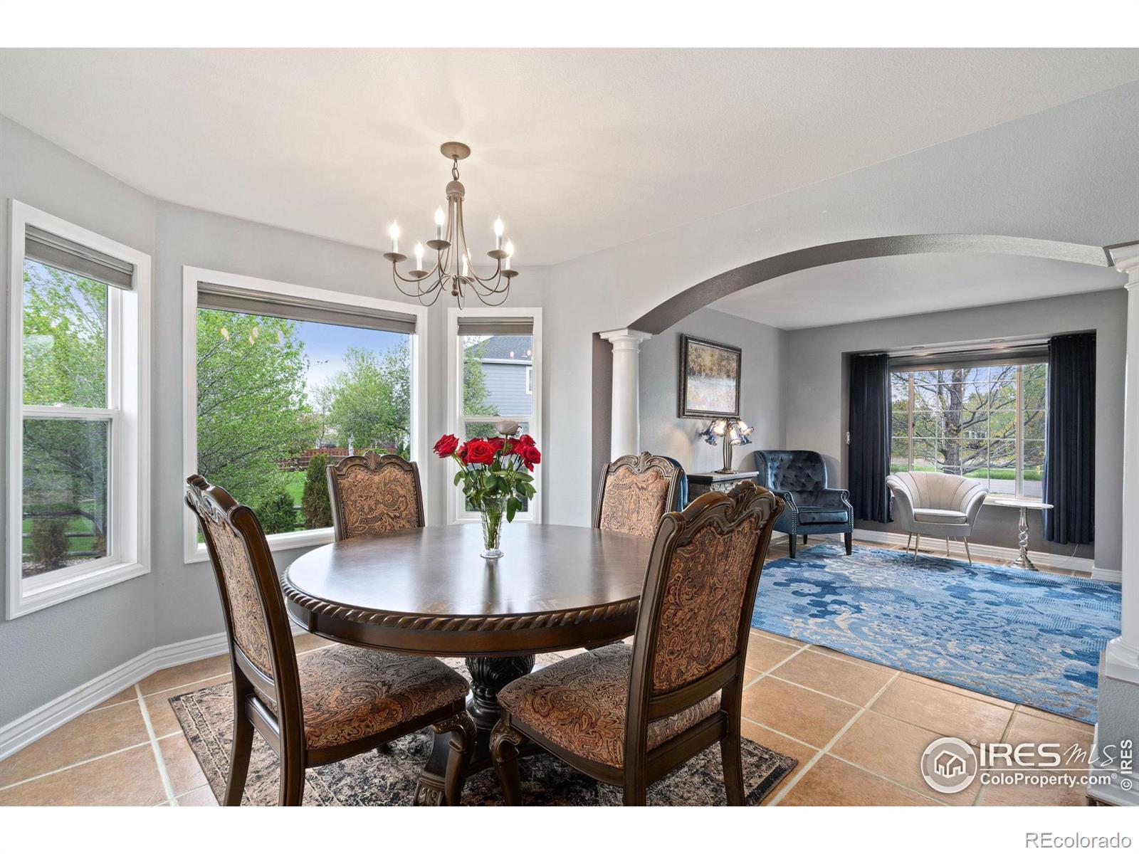 MLS Image #8 for 4481  ribbon court,loveland, Colorado