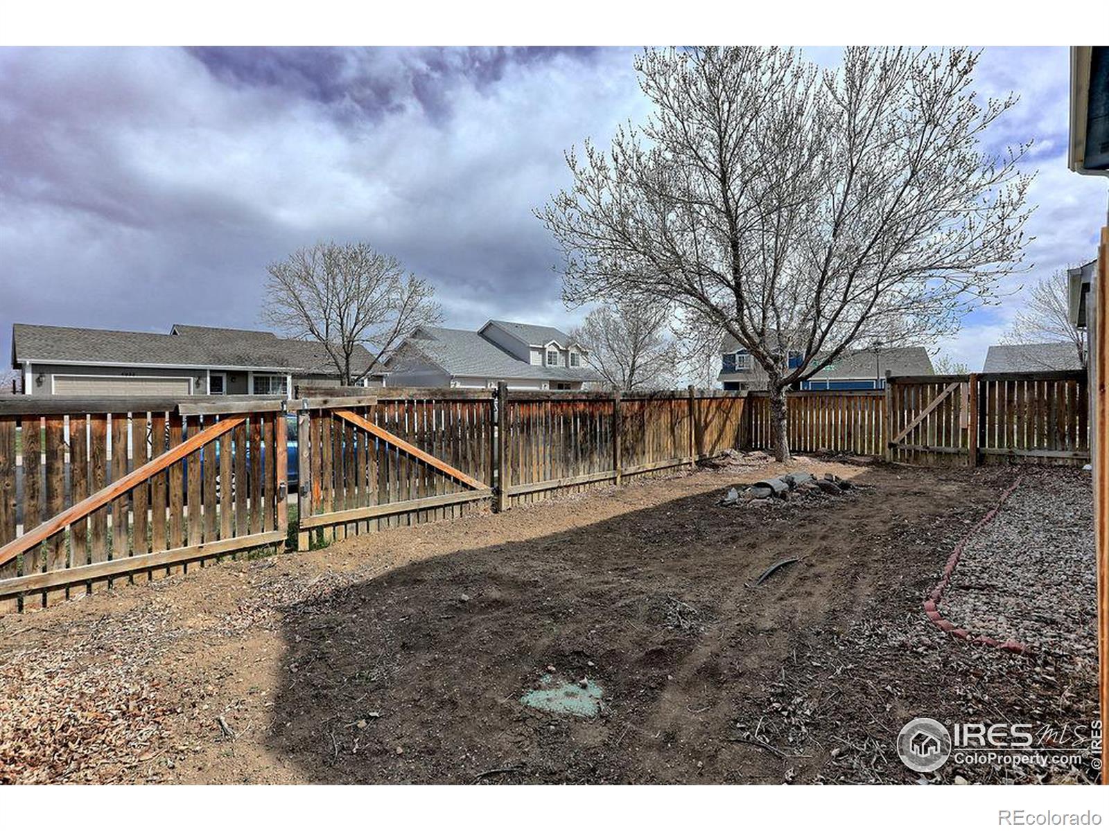 MLS Image #27 for 3115  williamsburg street,loveland, Colorado