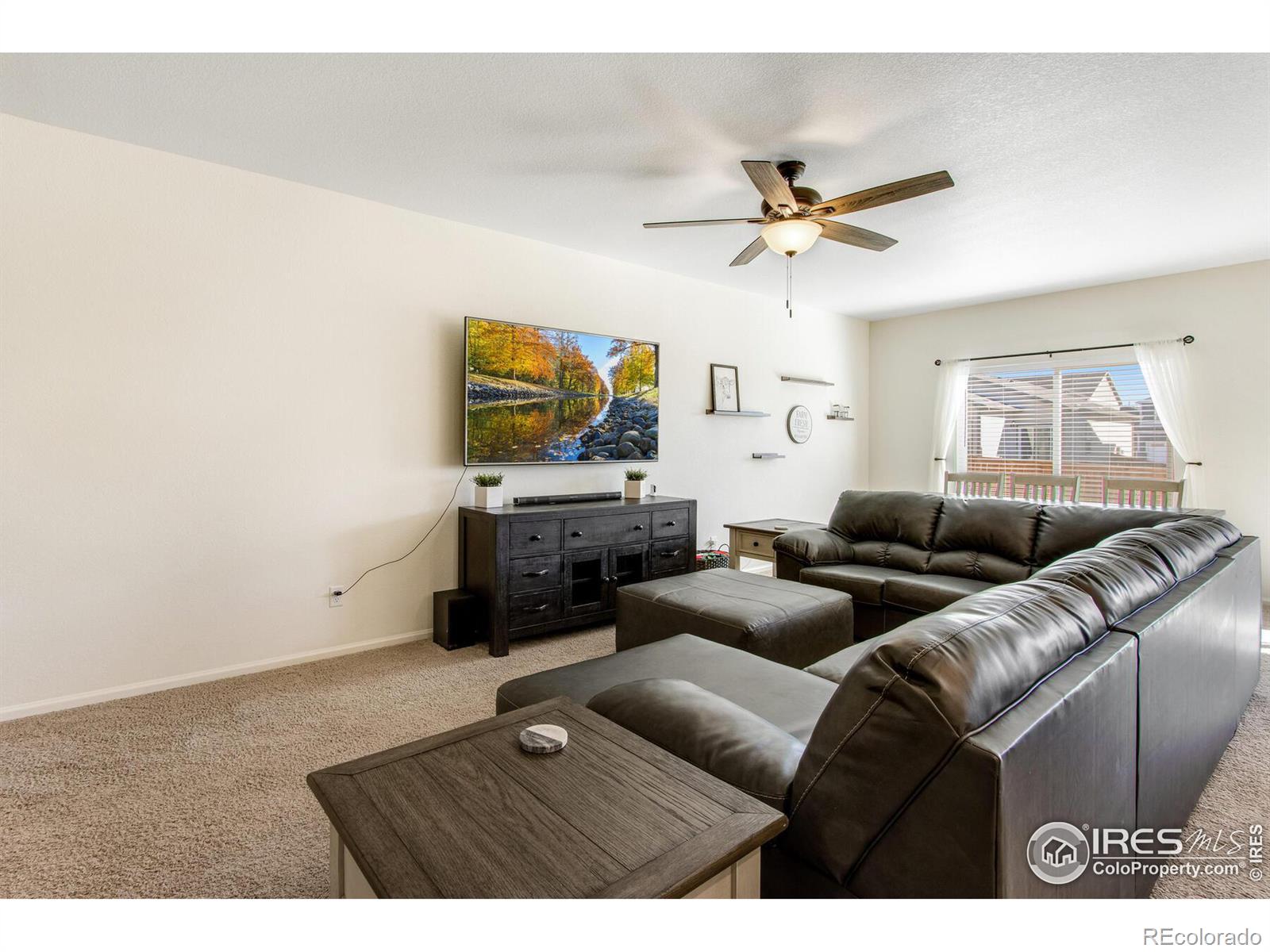 MLS Image #15 for 1098  long meadows street,severance, Colorado