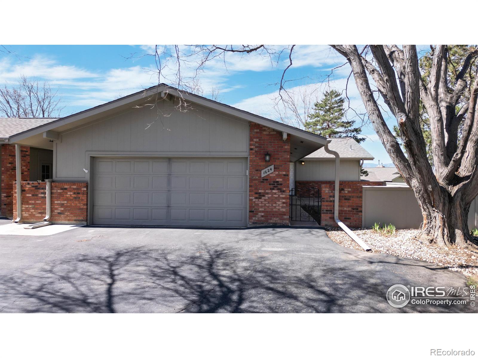 Report Image for 1624  Adriel Circle,Fort Collins, Colorado