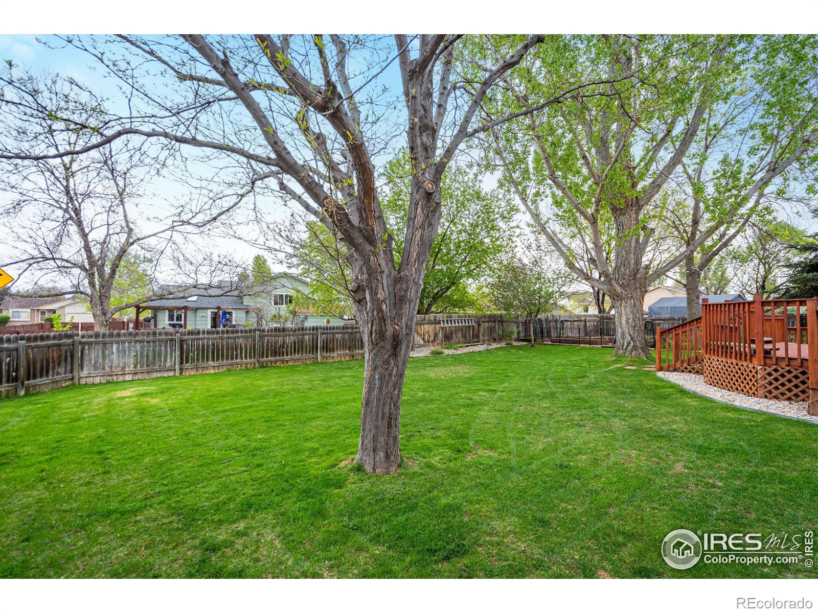 MLS Image #28 for 4050  niobe court,loveland, Colorado