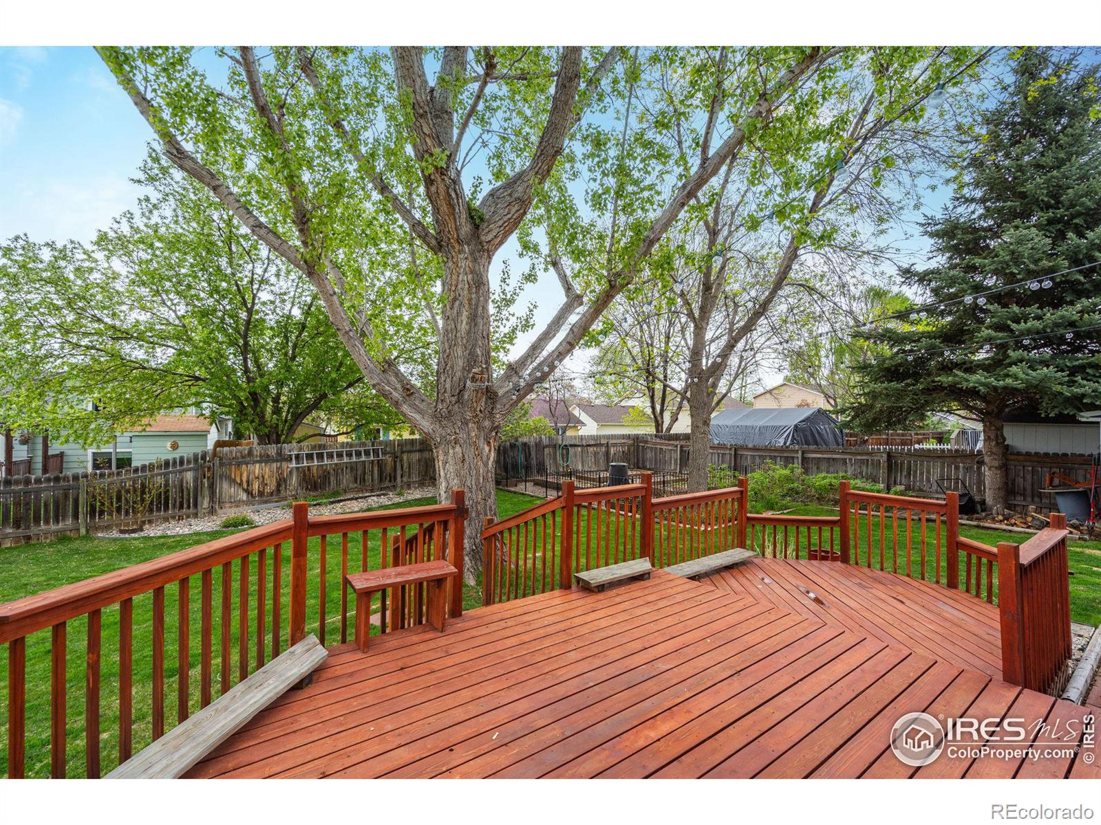 MLS Image #31 for 4050  niobe court,loveland, Colorado