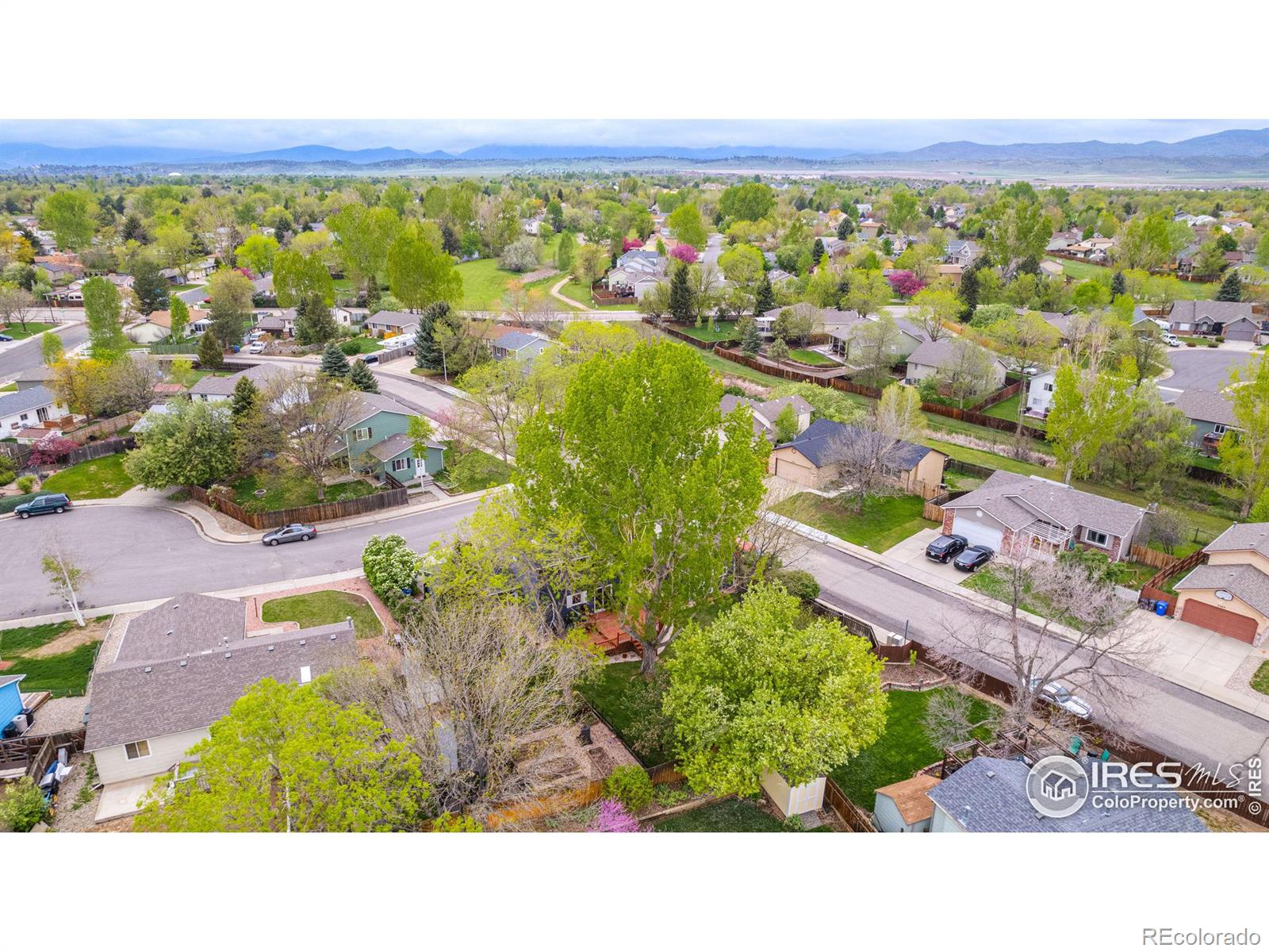 MLS Image #38 for 4050  niobe court,loveland, Colorado