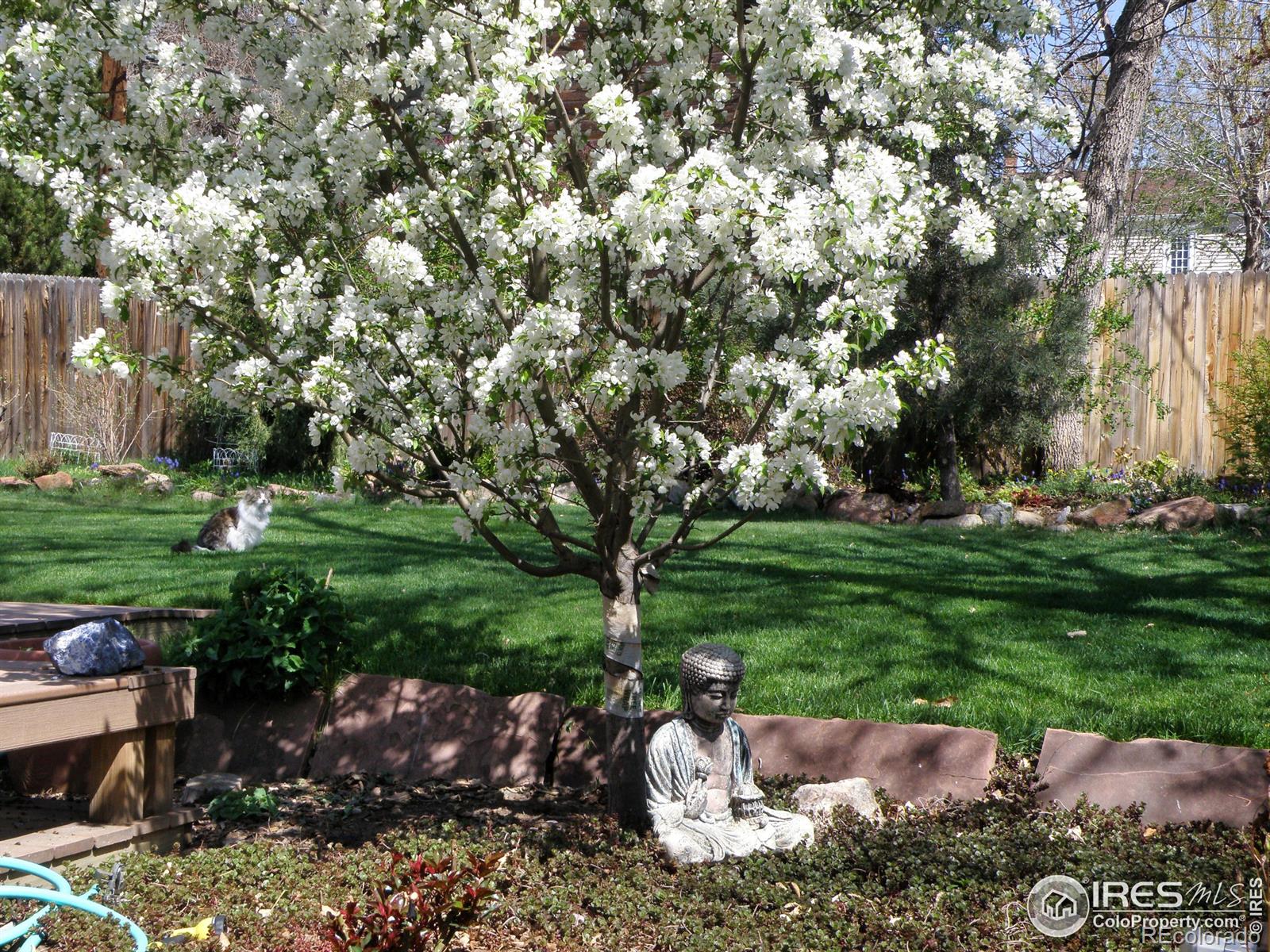 MLS Image #22 for 1210  spruce avenue,longmont, Colorado