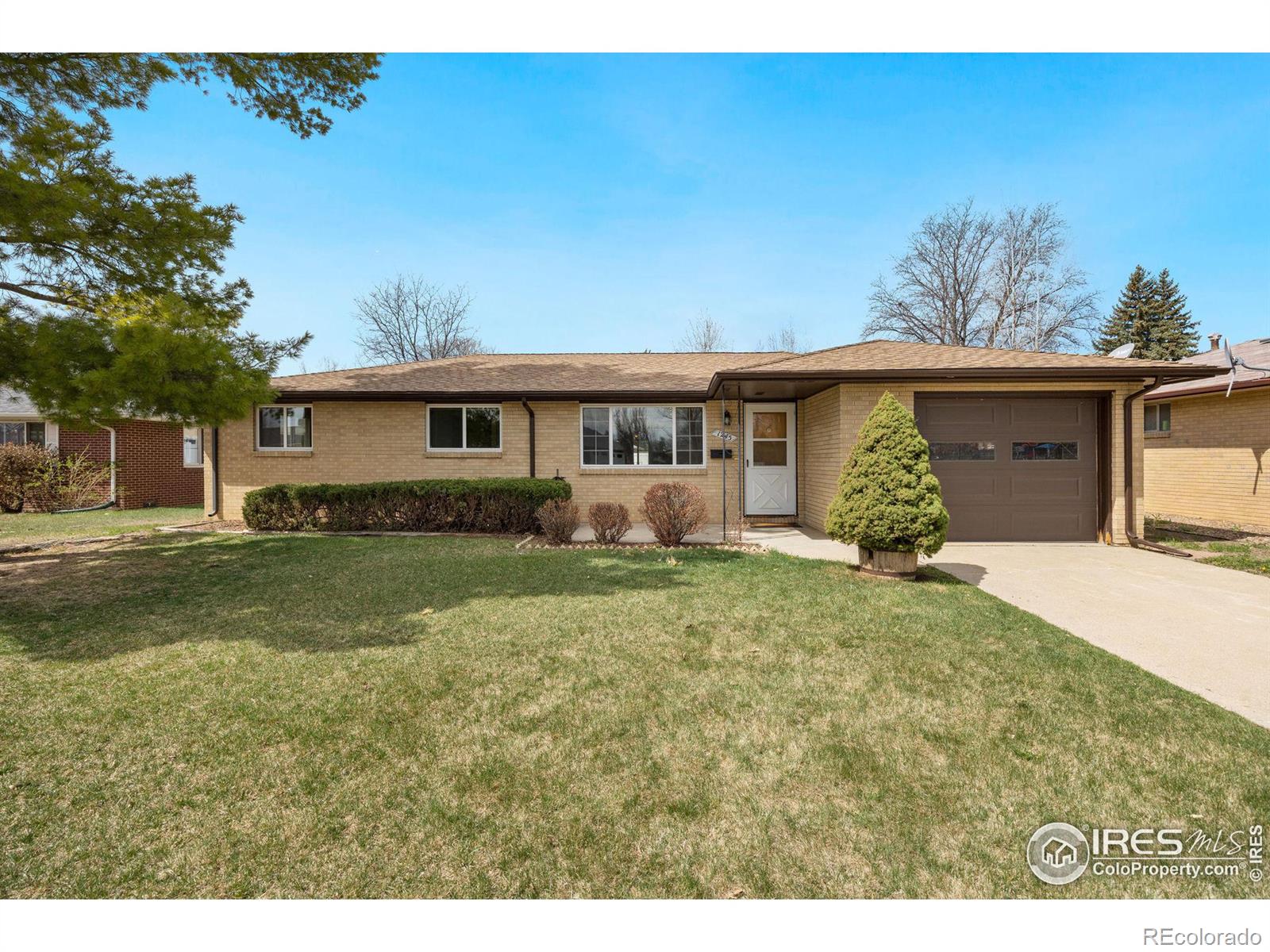 MLS Image #38 for 1245  judson street,longmont, Colorado