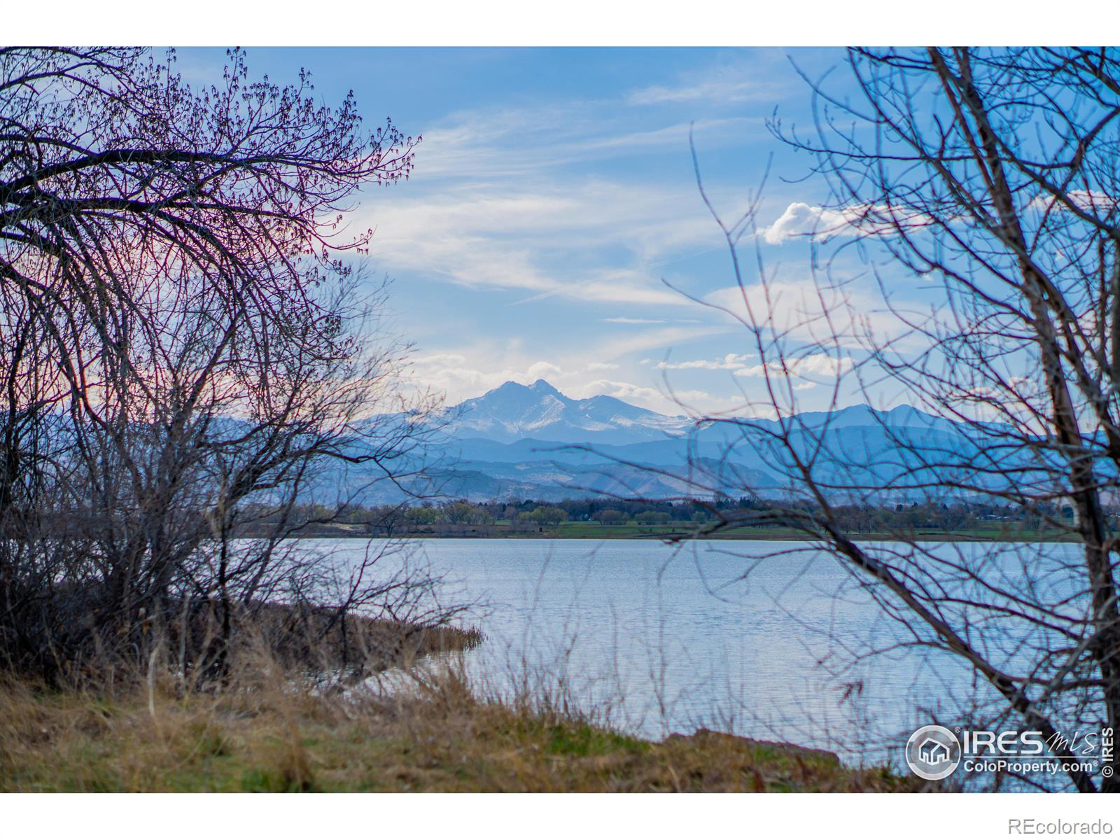 MLS Image #36 for 1766  harbor lane,longmont, Colorado