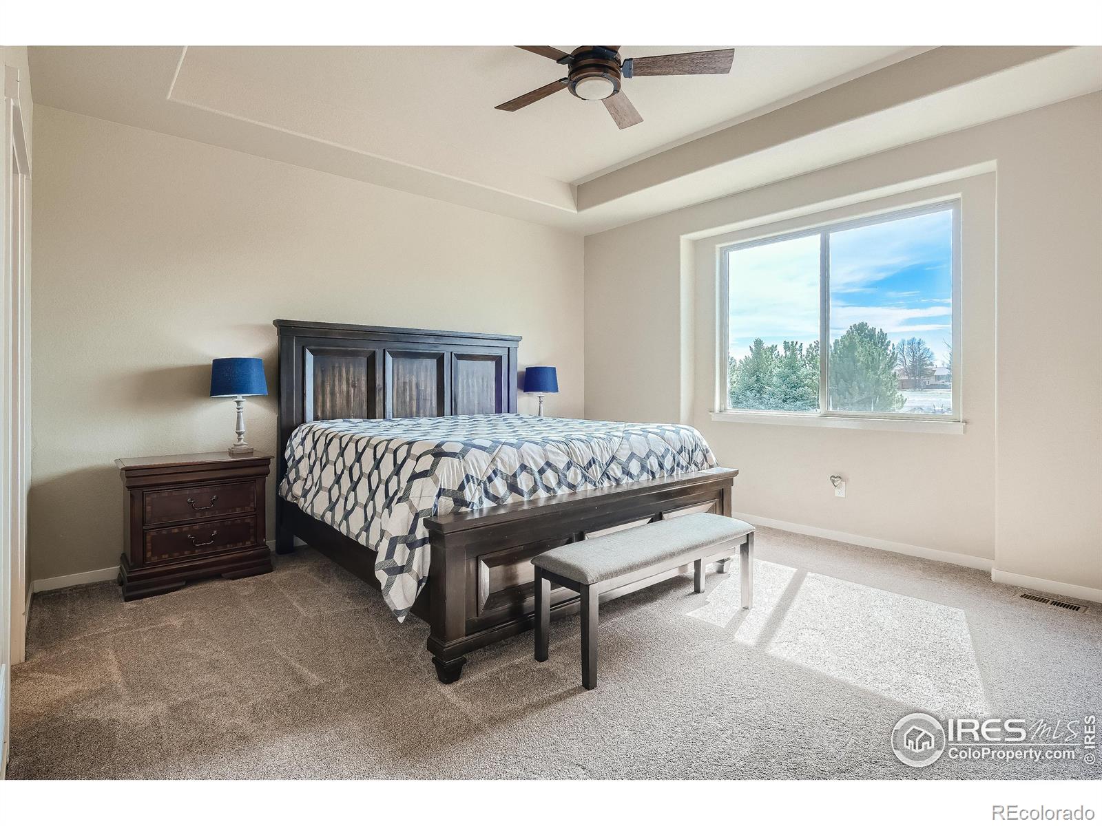 MLS Image #19 for 20191  leola way,eaton, Colorado