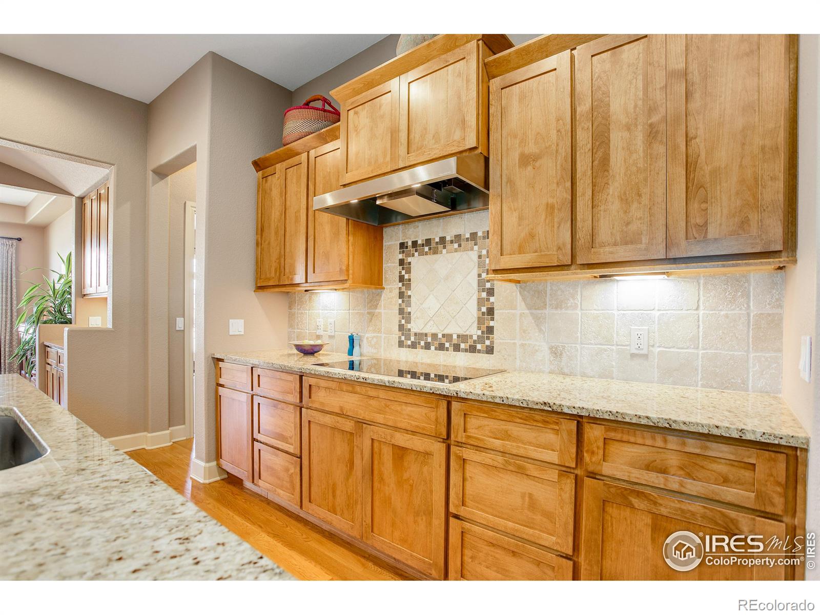 MLS Image #7 for 2815  tierra ridge court,superior, Colorado