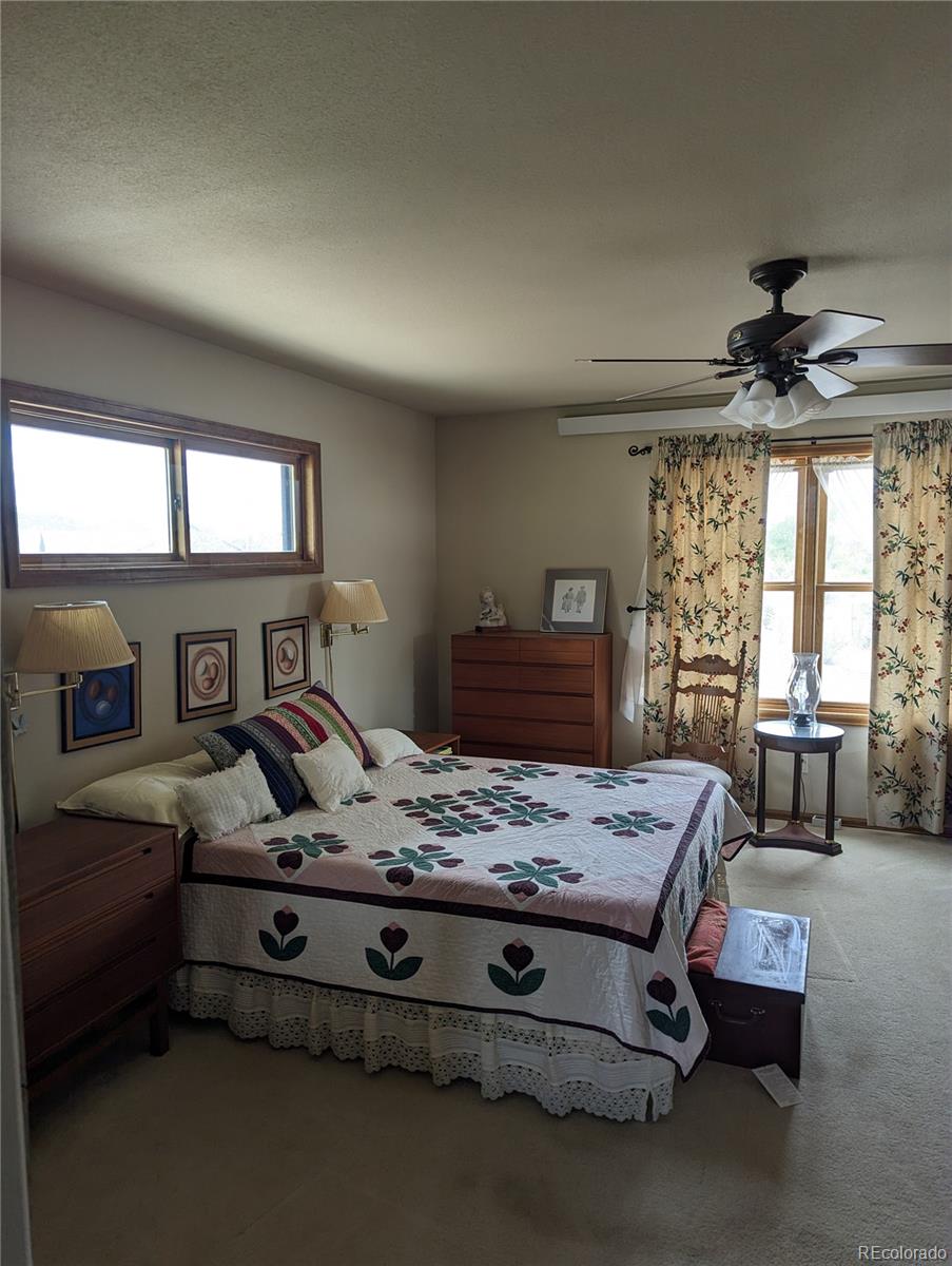 MLS Image #7 for 100  river run drive,buena vista, Colorado
