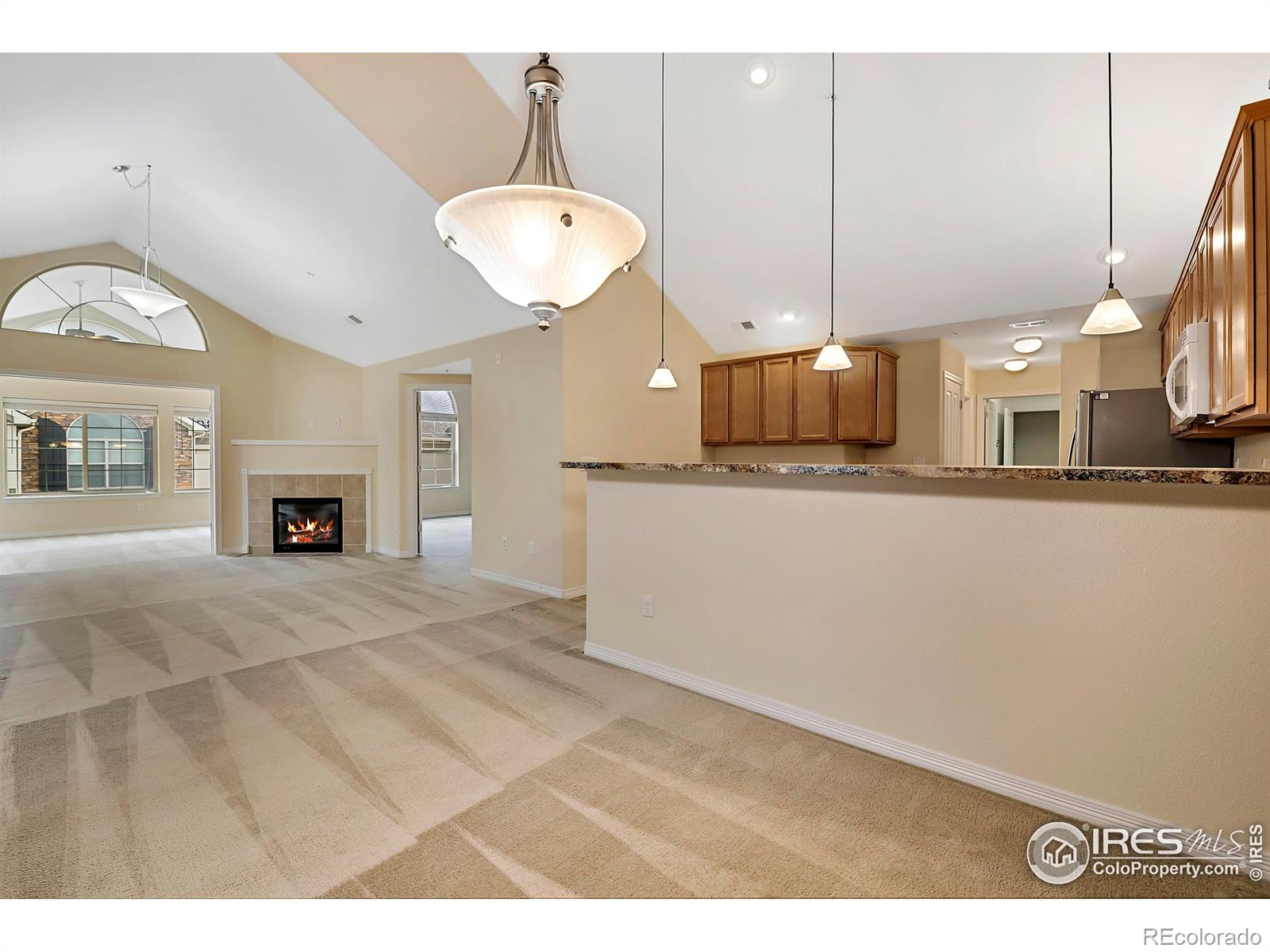 MLS Image #9 for 2481  santa fe drive,longmont, Colorado