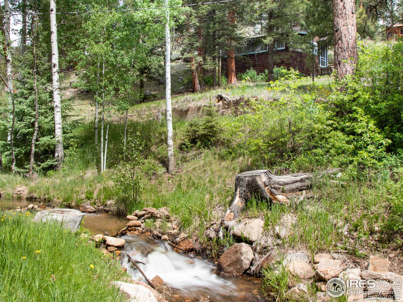 MLS Image #2 for 65  fox creek road,glen haven, Colorado