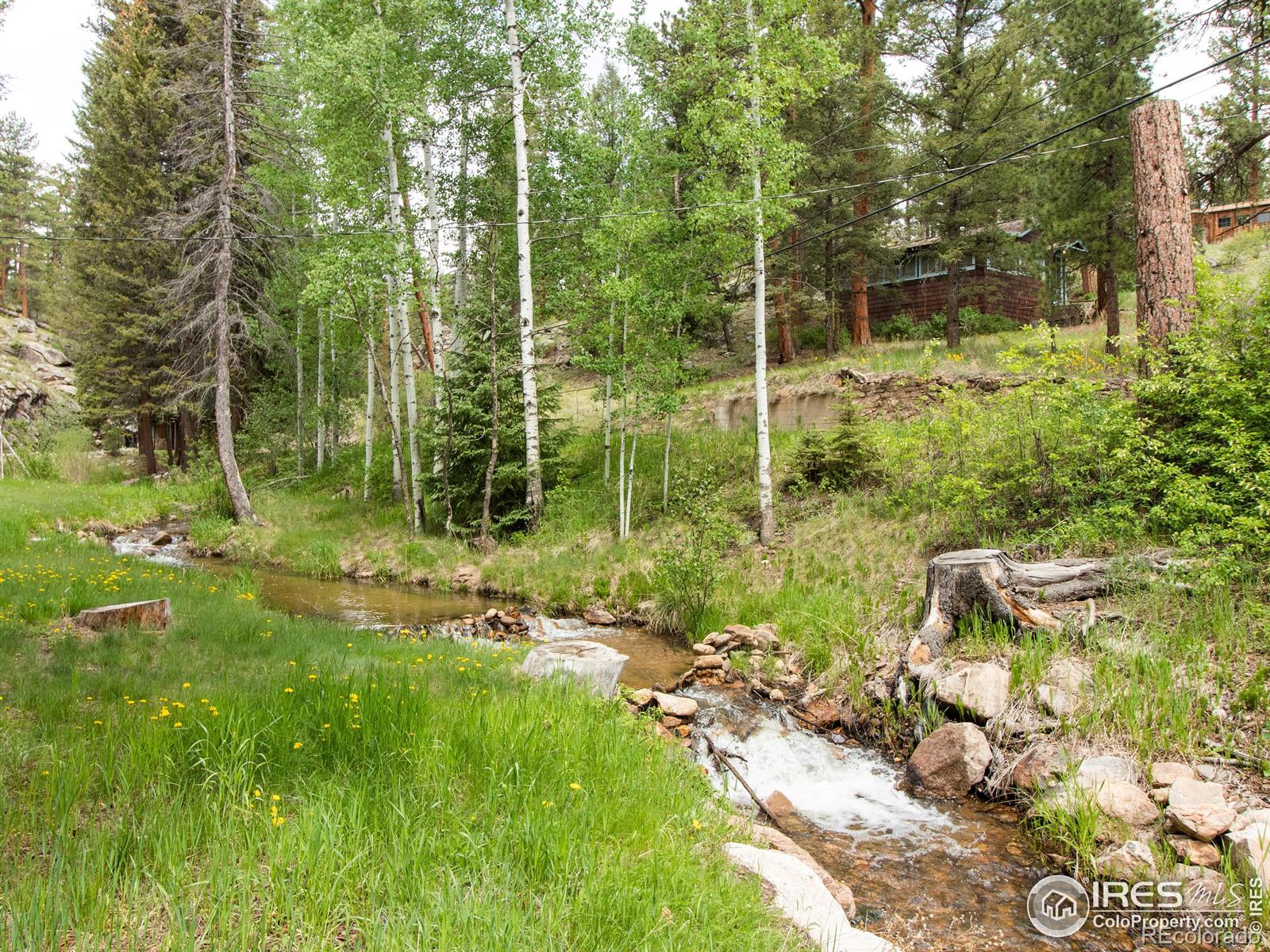 MLS Image #8 for 65  fox creek road,glen haven, Colorado