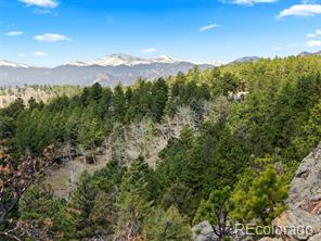 MLS Image #0 for 26767  gray buck trail,conifer, Colorado