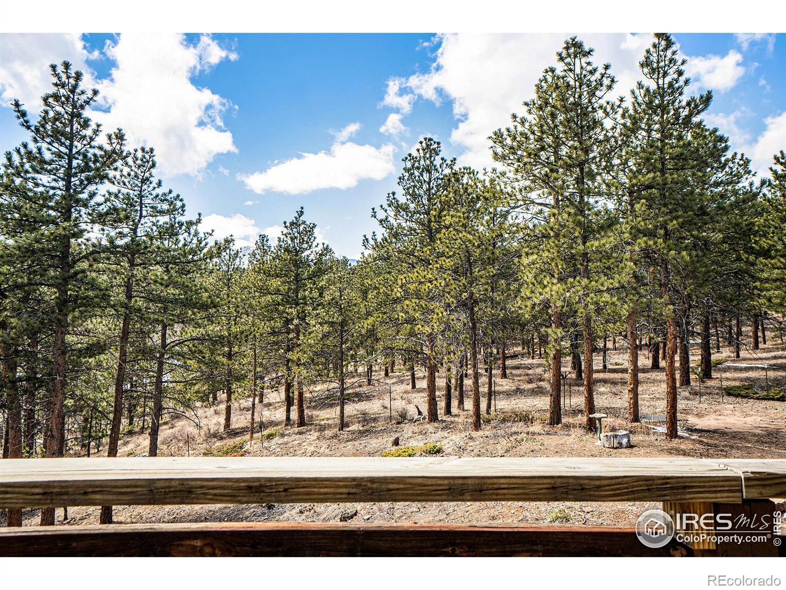 MLS Image #12 for 456  saint vrain road,lyons, Colorado