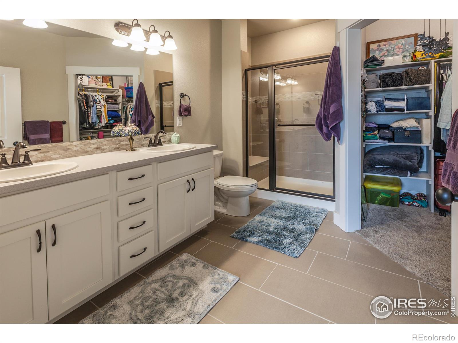 MLS Image #18 for 6582  crystal downs drive,windsor, Colorado