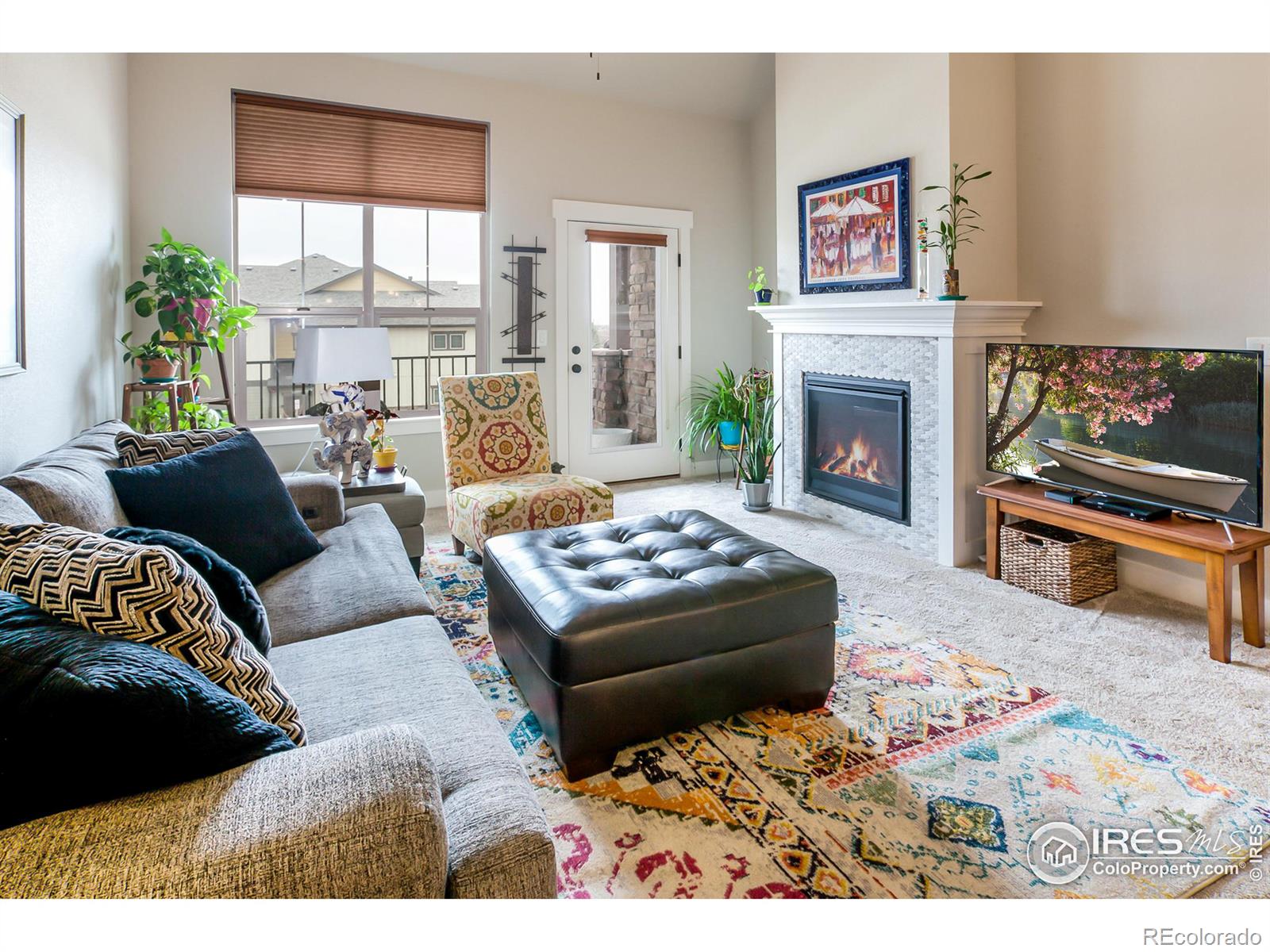 MLS Image #6 for 6582  crystal downs drive,windsor, Colorado