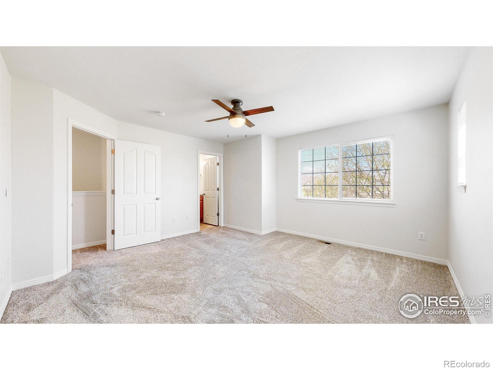 MLS Image #21 for 1103  andrews peak drive,fort collins, Colorado