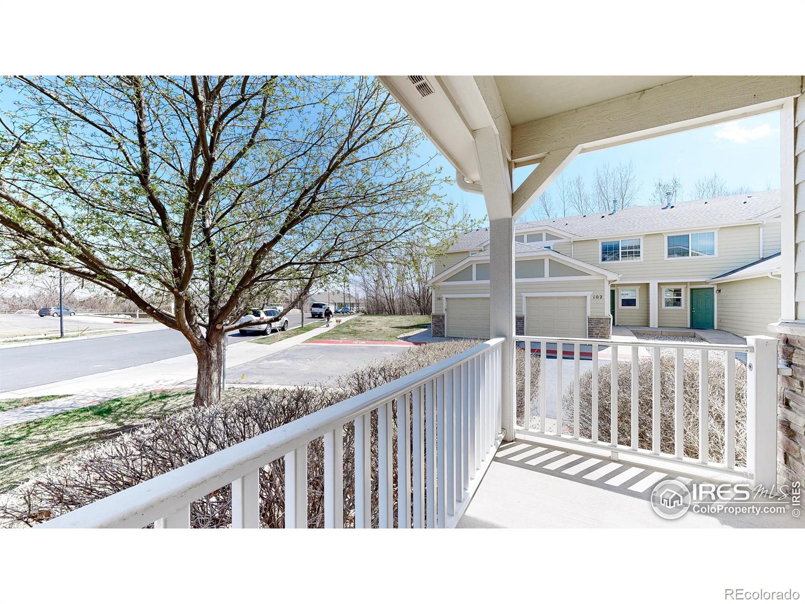 MLS Image #25 for 1103  andrews peak drive,fort collins, Colorado