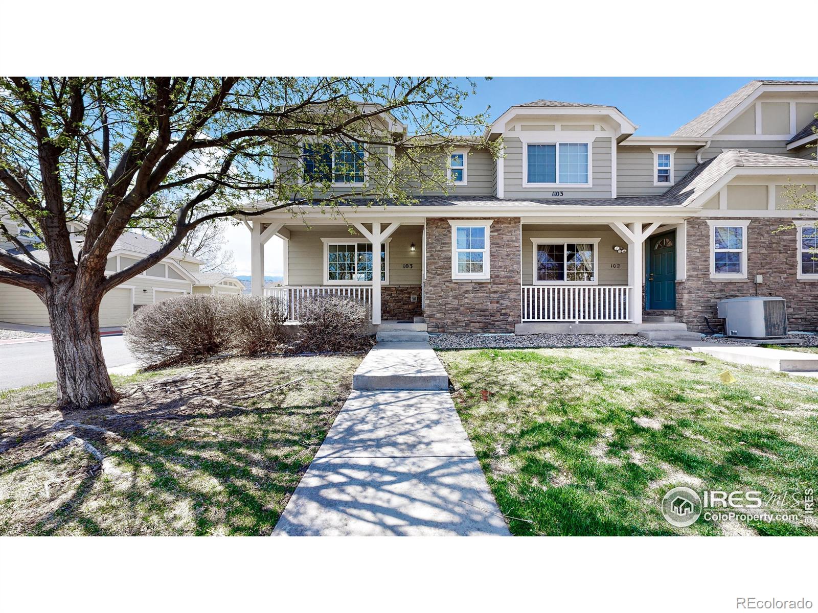 MLS Image #28 for 1103  andrews peak drive,fort collins, Colorado