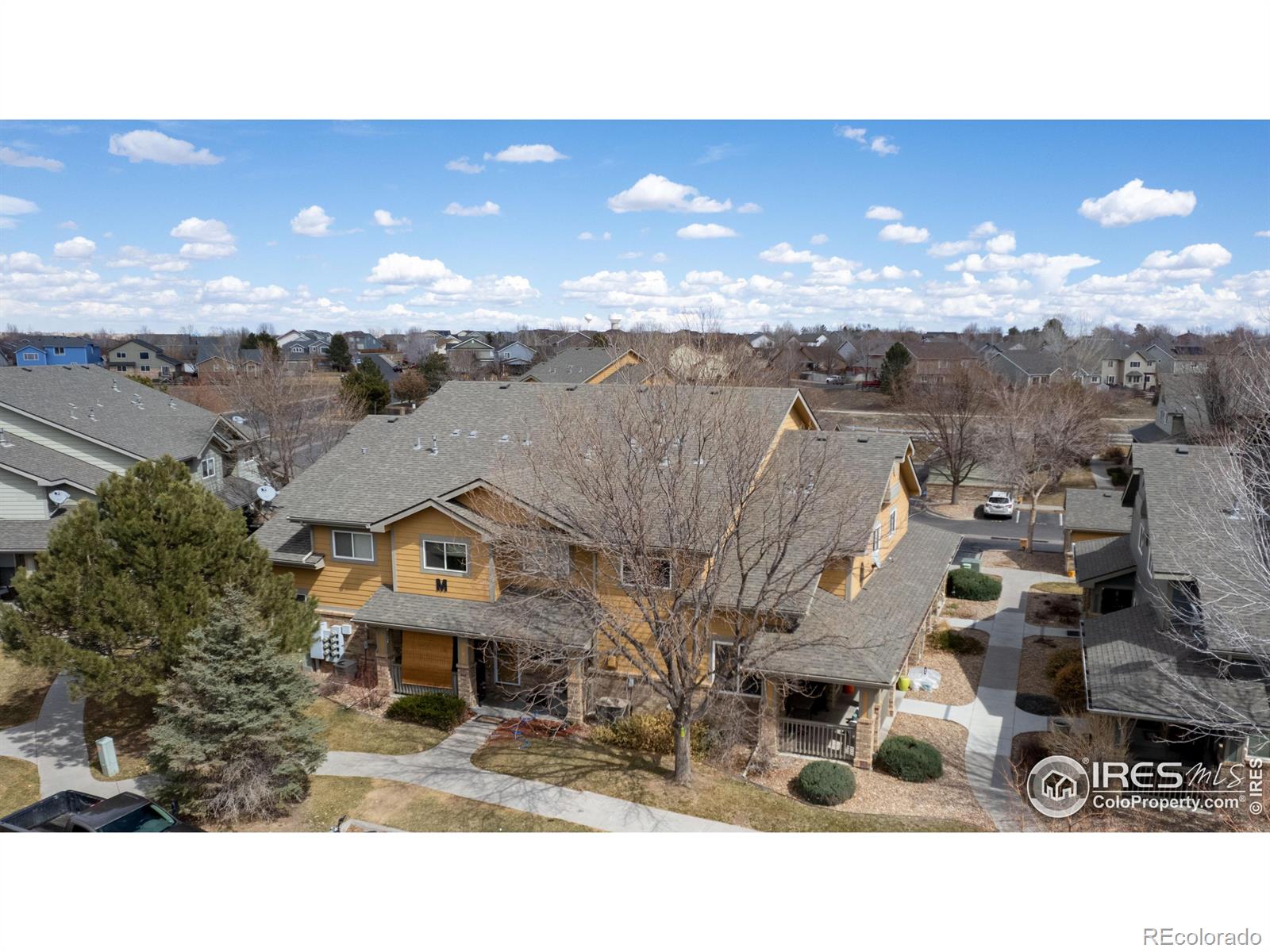 Report Image for 2900  Purcell Street,Brighton, Colorado