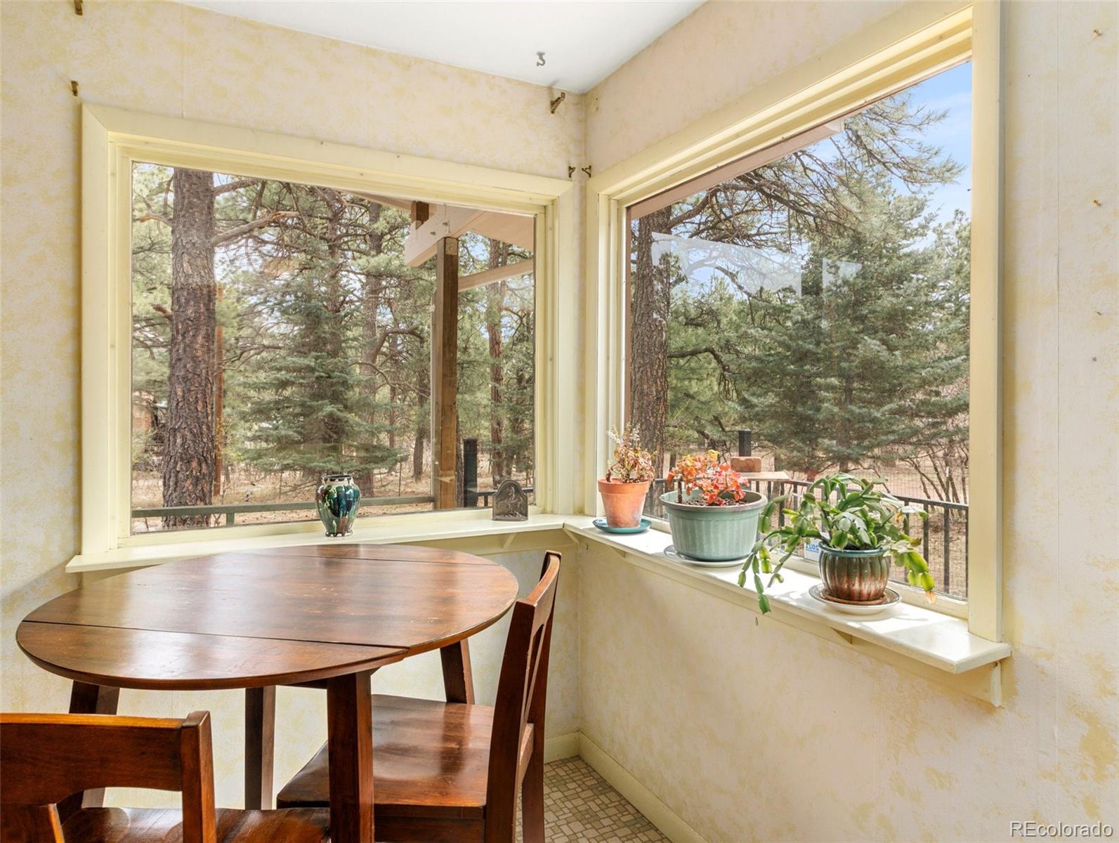 MLS Image #15 for 8145  birch drive,rye, Colorado