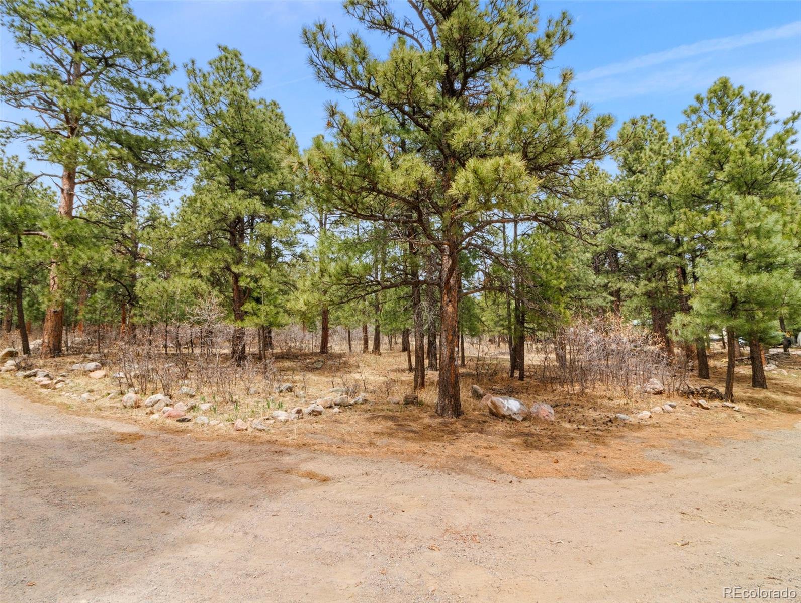 MLS Image #5 for 8145  birch drive,rye, Colorado