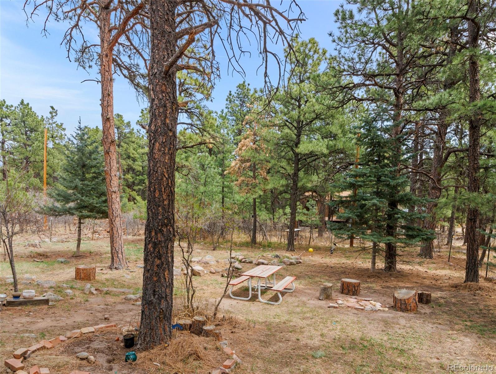 MLS Image #9 for 8145  birch drive,rye, Colorado