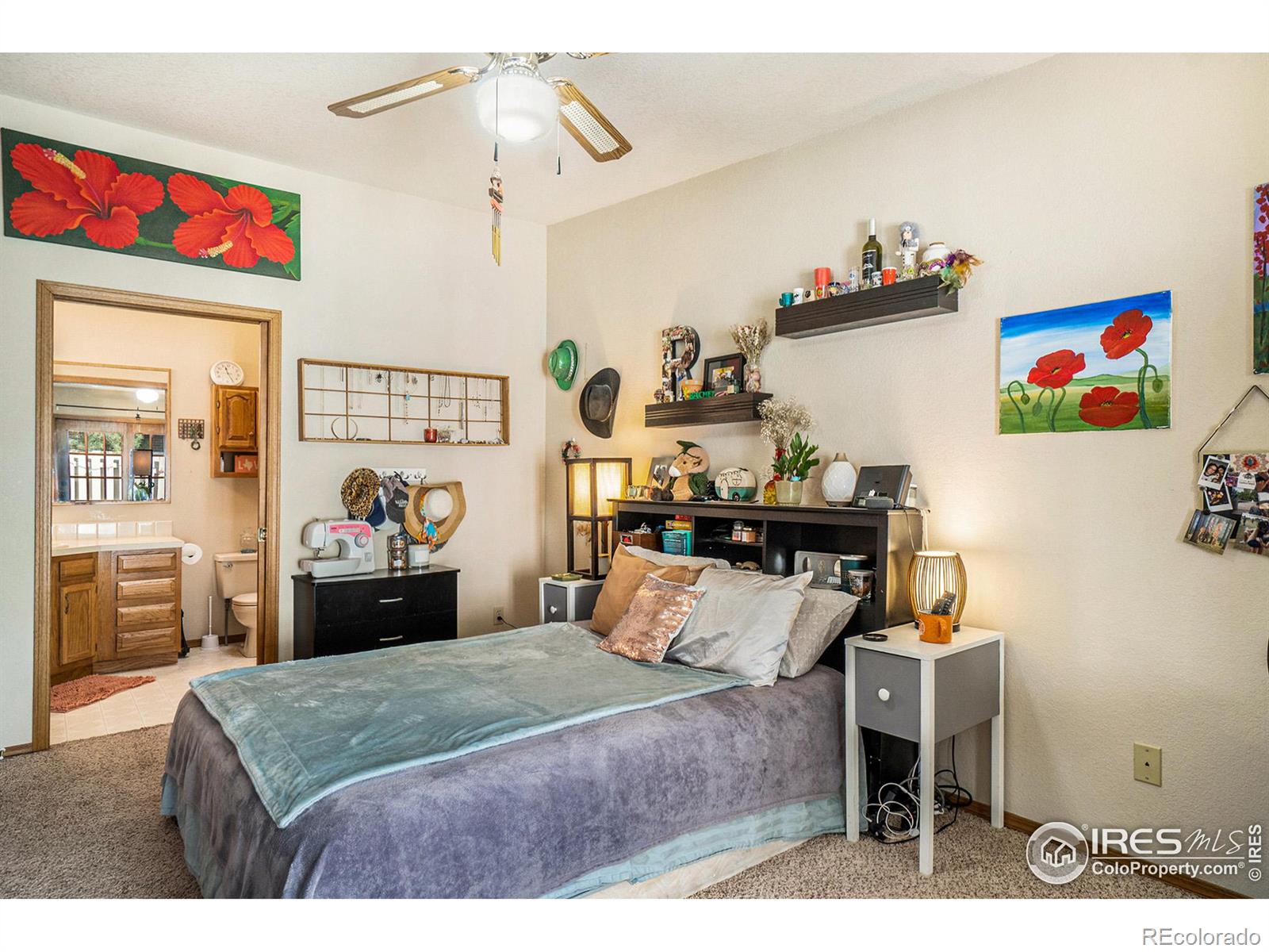 MLS Image #10 for 2700  stanford road,fort collins, Colorado