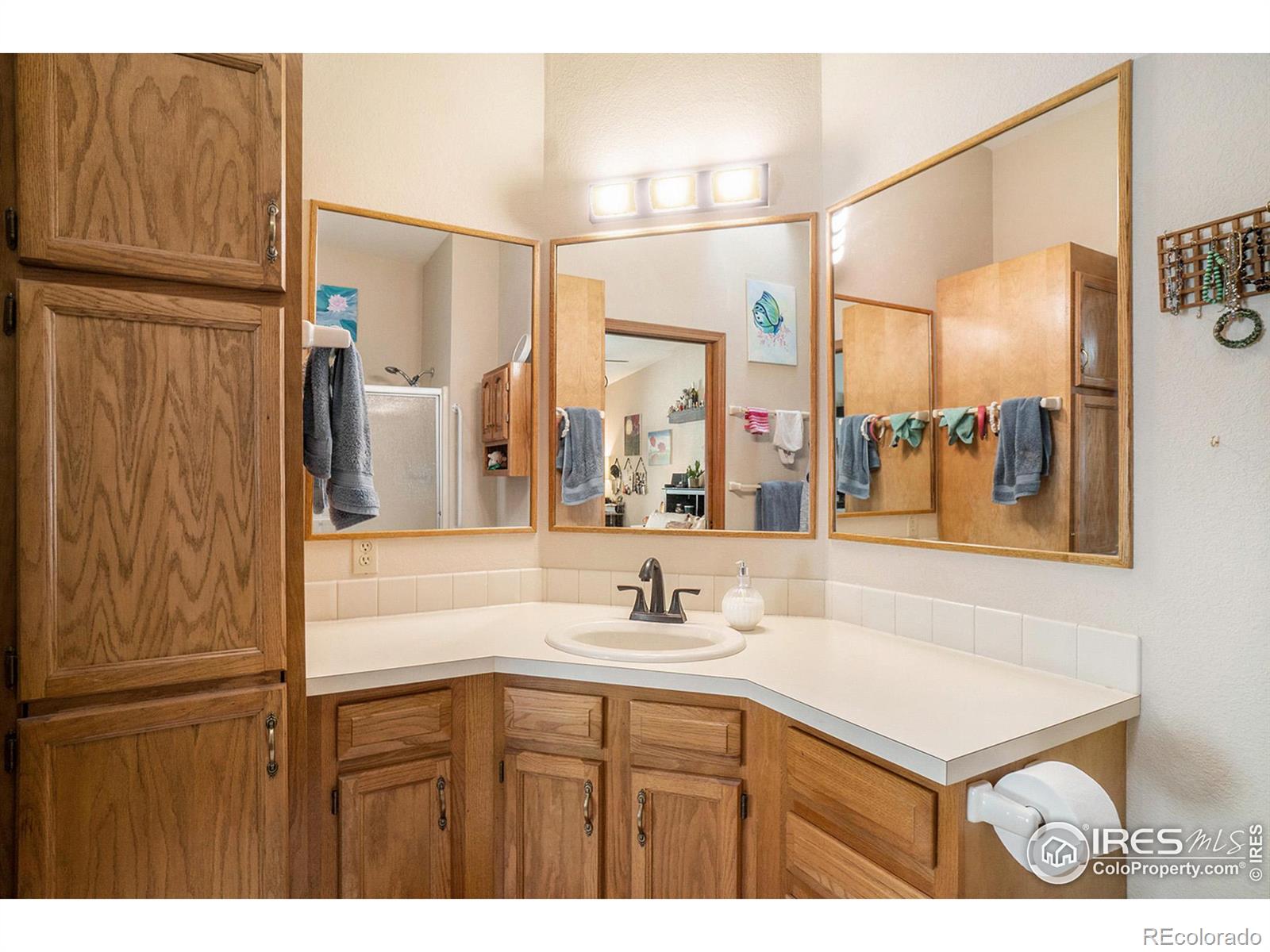 MLS Image #13 for 2700  stanford road,fort collins, Colorado