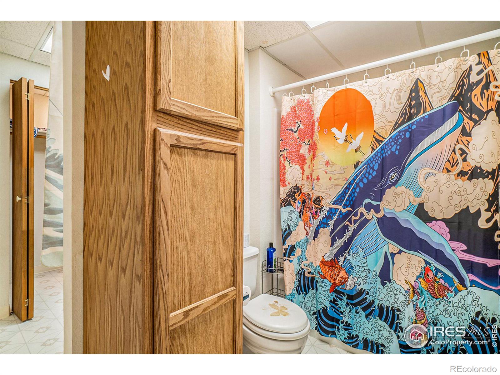 MLS Image #24 for 2700  stanford road,fort collins, Colorado