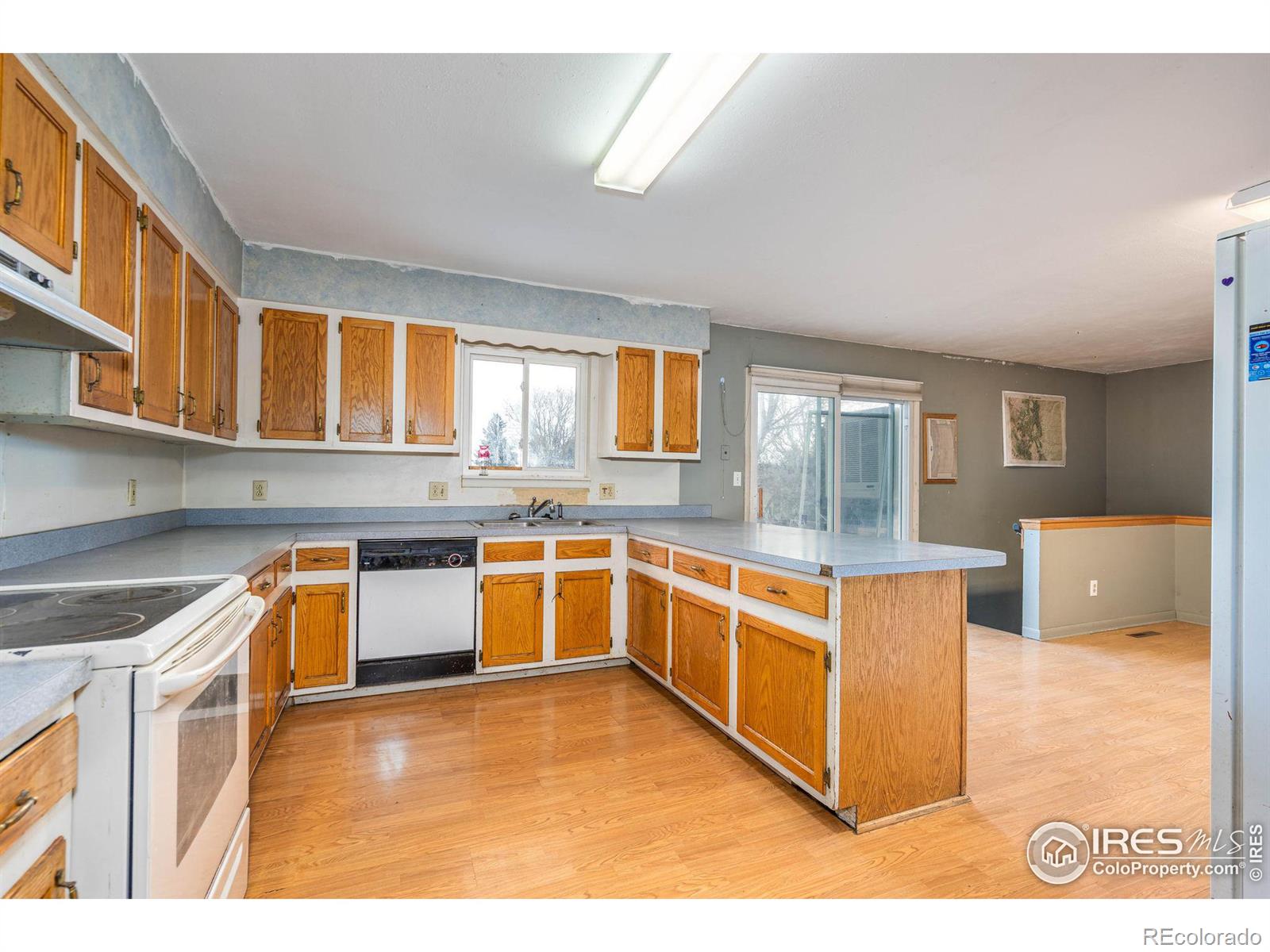 MLS Image #7 for 3922  capitol drive,fort collins, Colorado