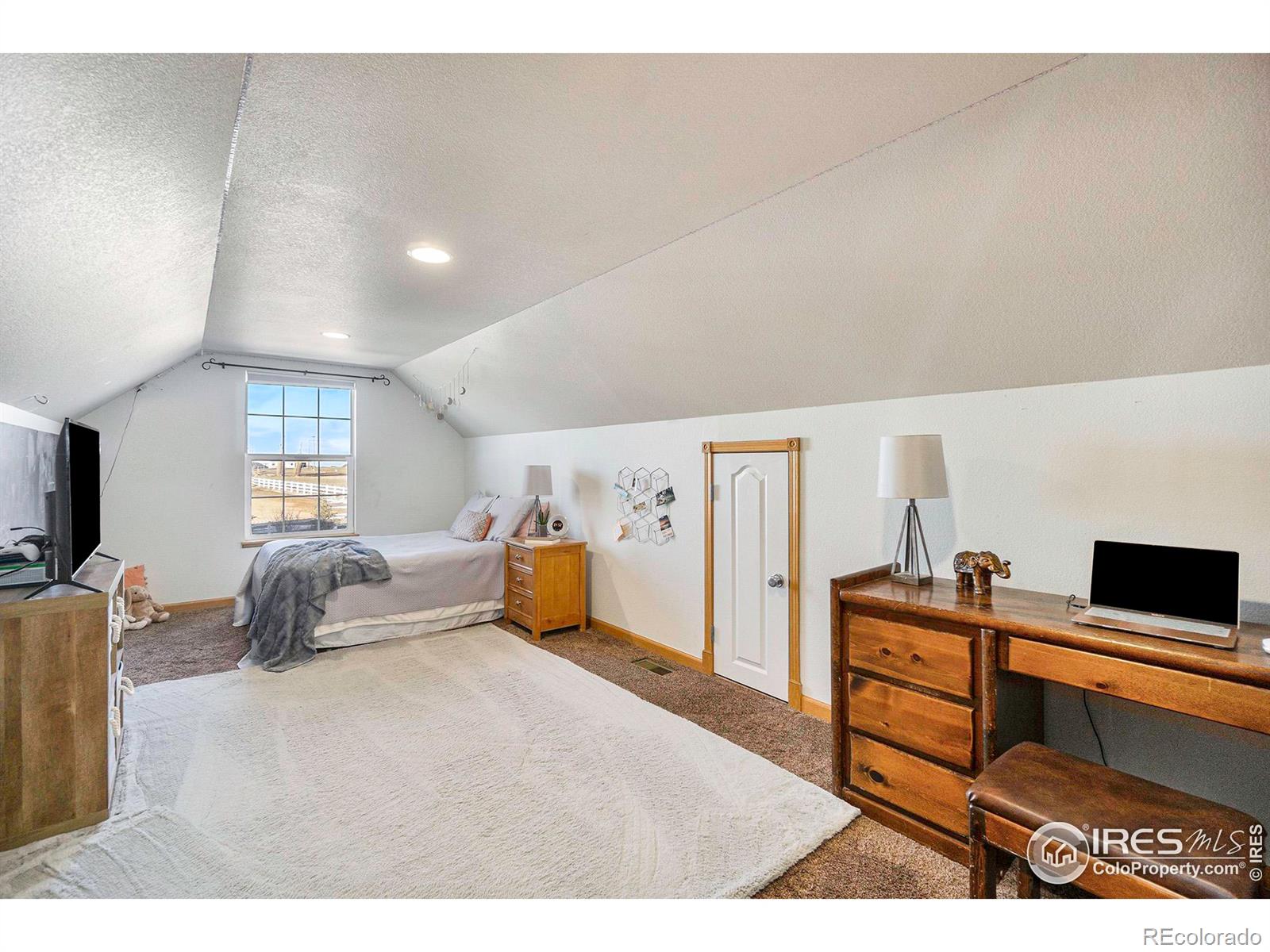 MLS Image #14 for 2226  san miguel drive,severance, Colorado