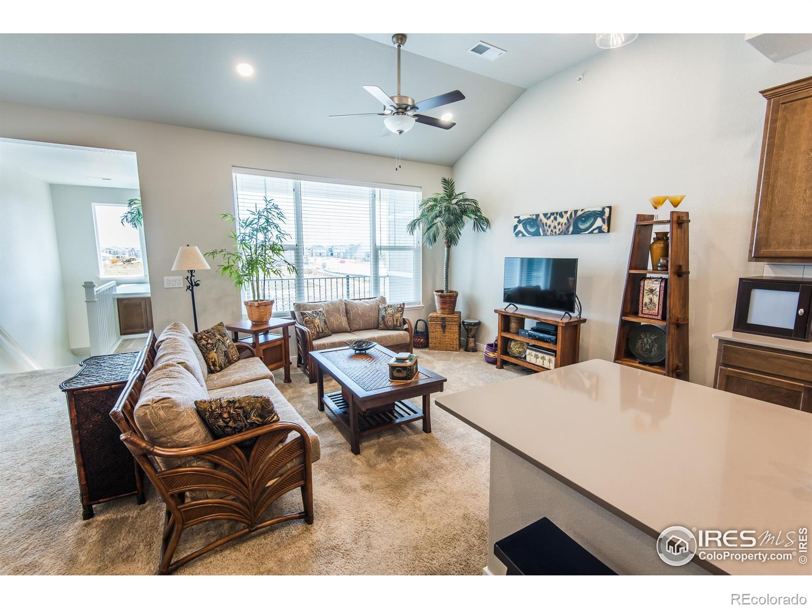 MLS Image #6 for 4128 s park drive,loveland, Colorado