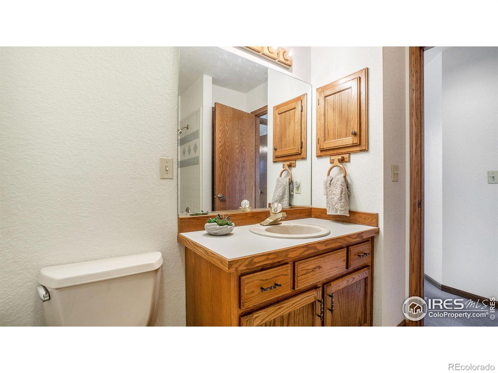 MLS Image #15 for 2010  46th avenue,greeley, Colorado