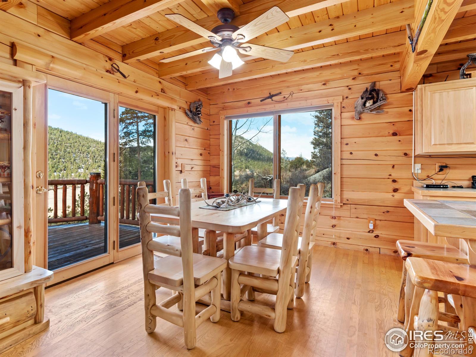 MLS Image #11 for 255  pinyon trail,estes park, Colorado