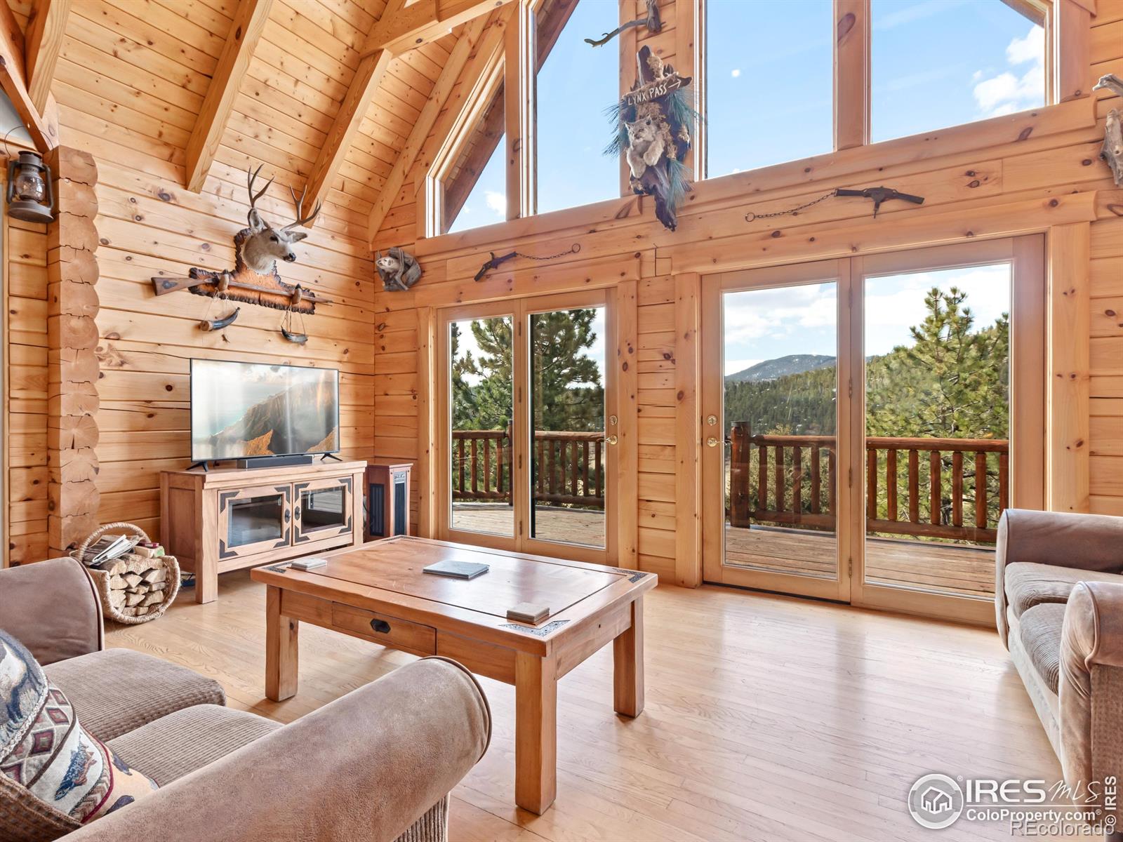 MLS Image #7 for 255  pinyon trail,estes park, Colorado