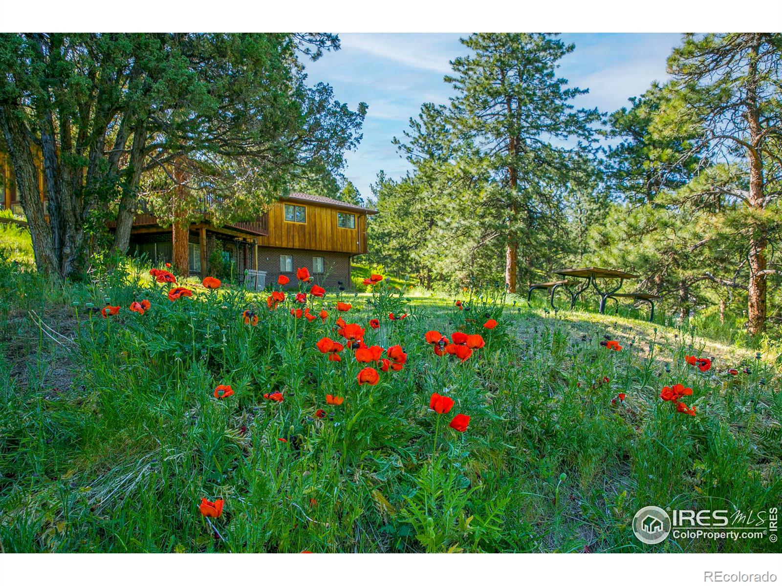 MLS Image #34 for 671  kelly road,boulder, Colorado