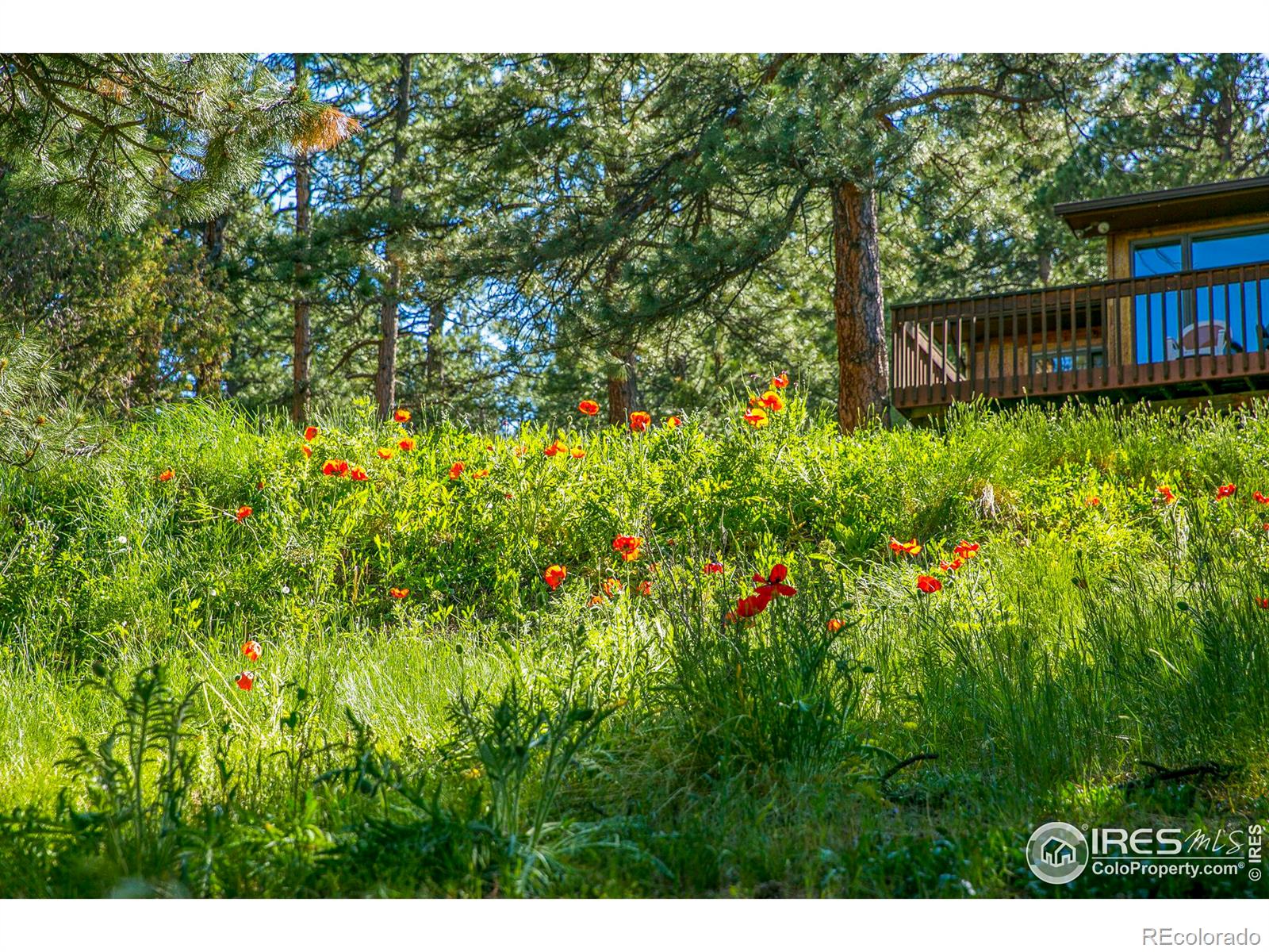 MLS Image #35 for 671  kelly road,boulder, Colorado