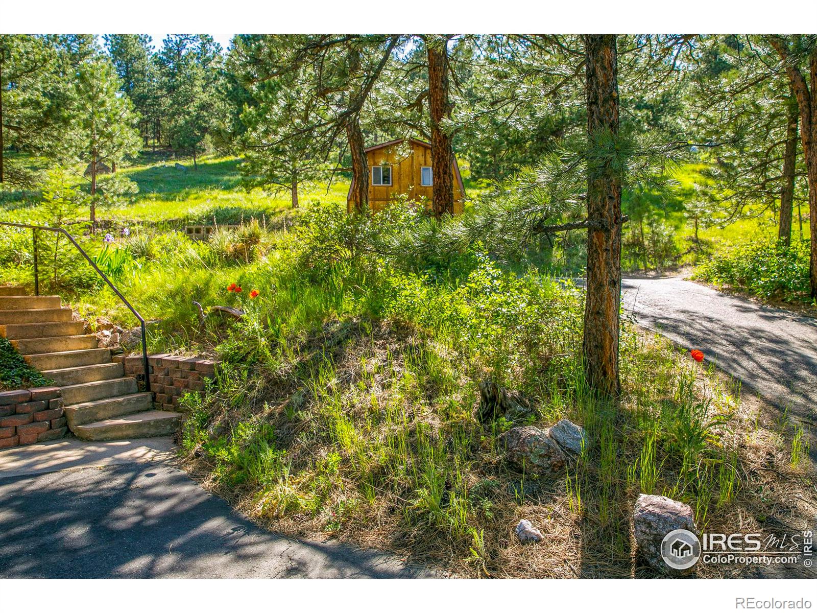 MLS Image #37 for 671  kelly road,boulder, Colorado