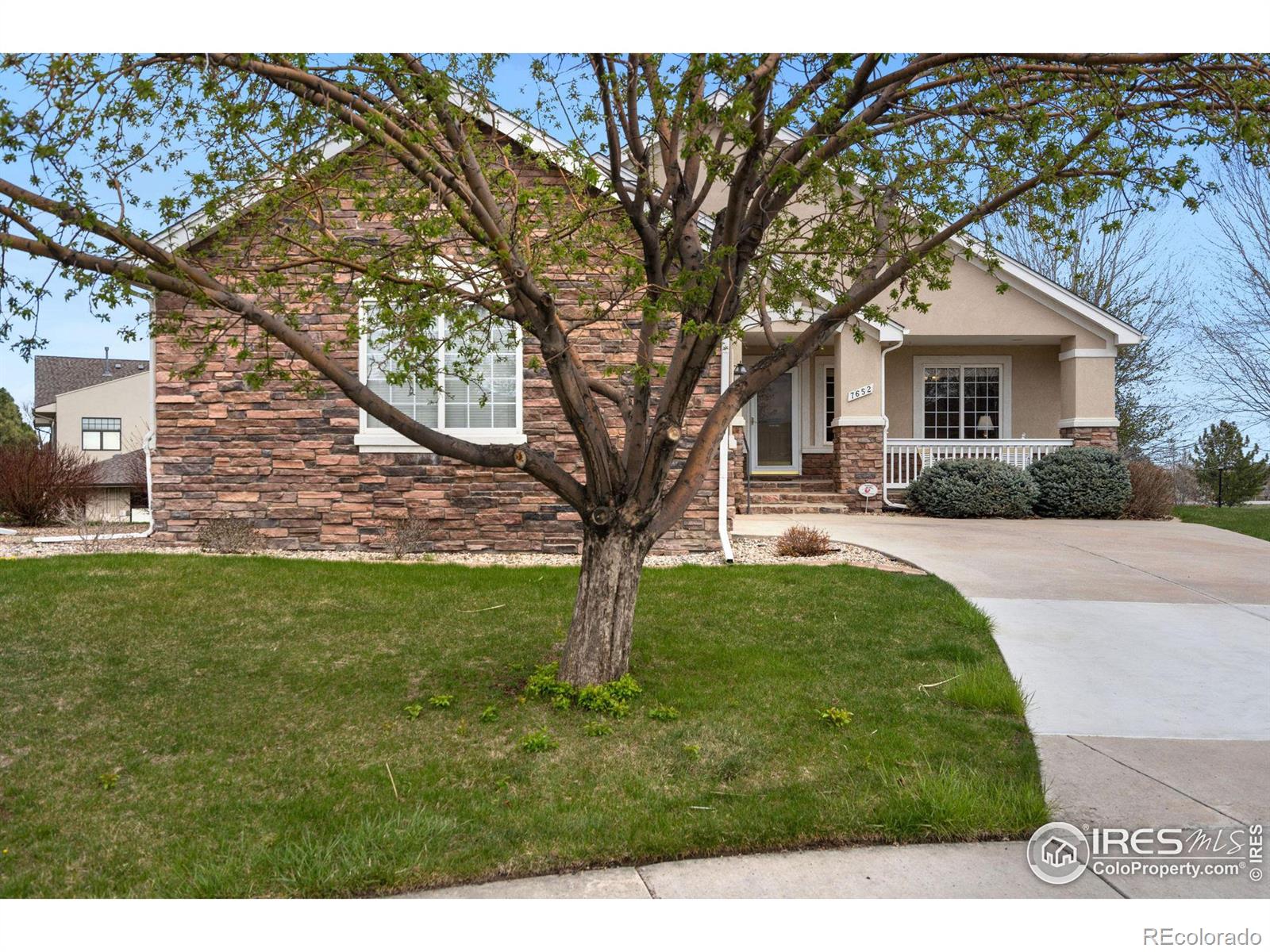 MLS Image #2 for 7652  promontory drive,windsor, Colorado