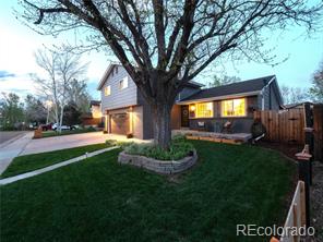 MLS Image #0 for 6554  zinnia street,arvada, Colorado