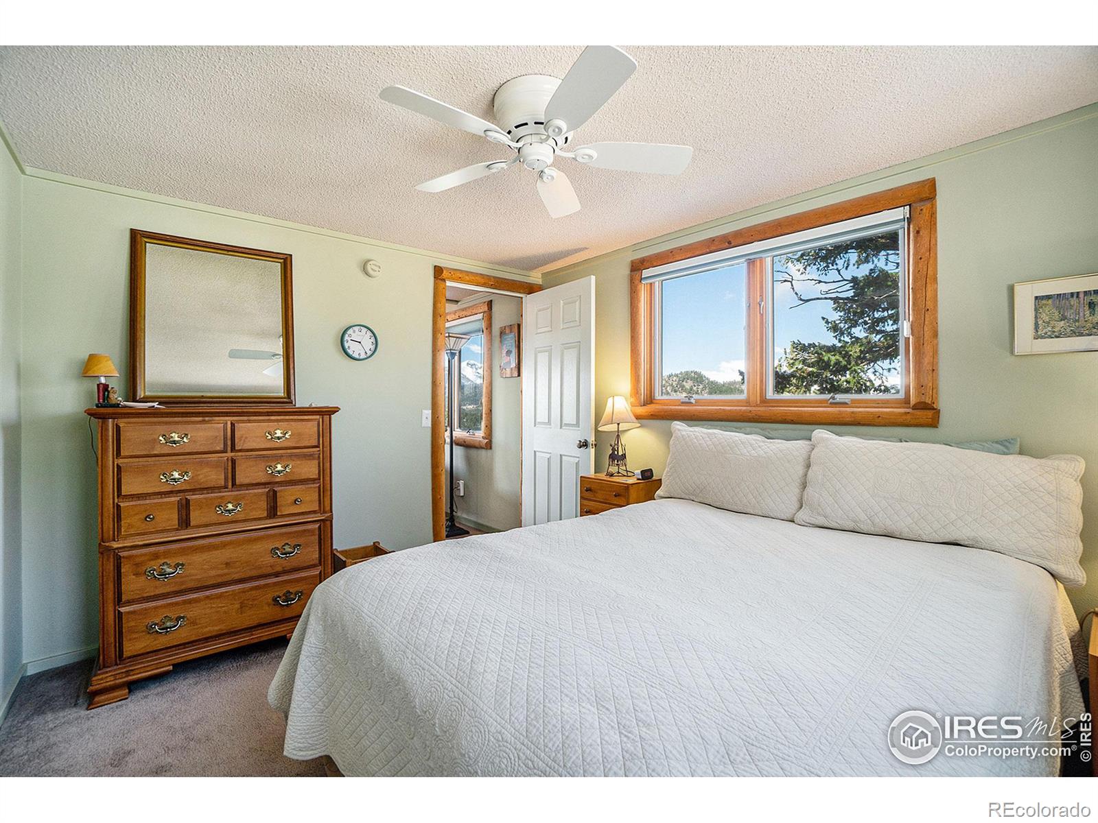 MLS Image #15 for 301  pine tree drive,estes park, Colorado