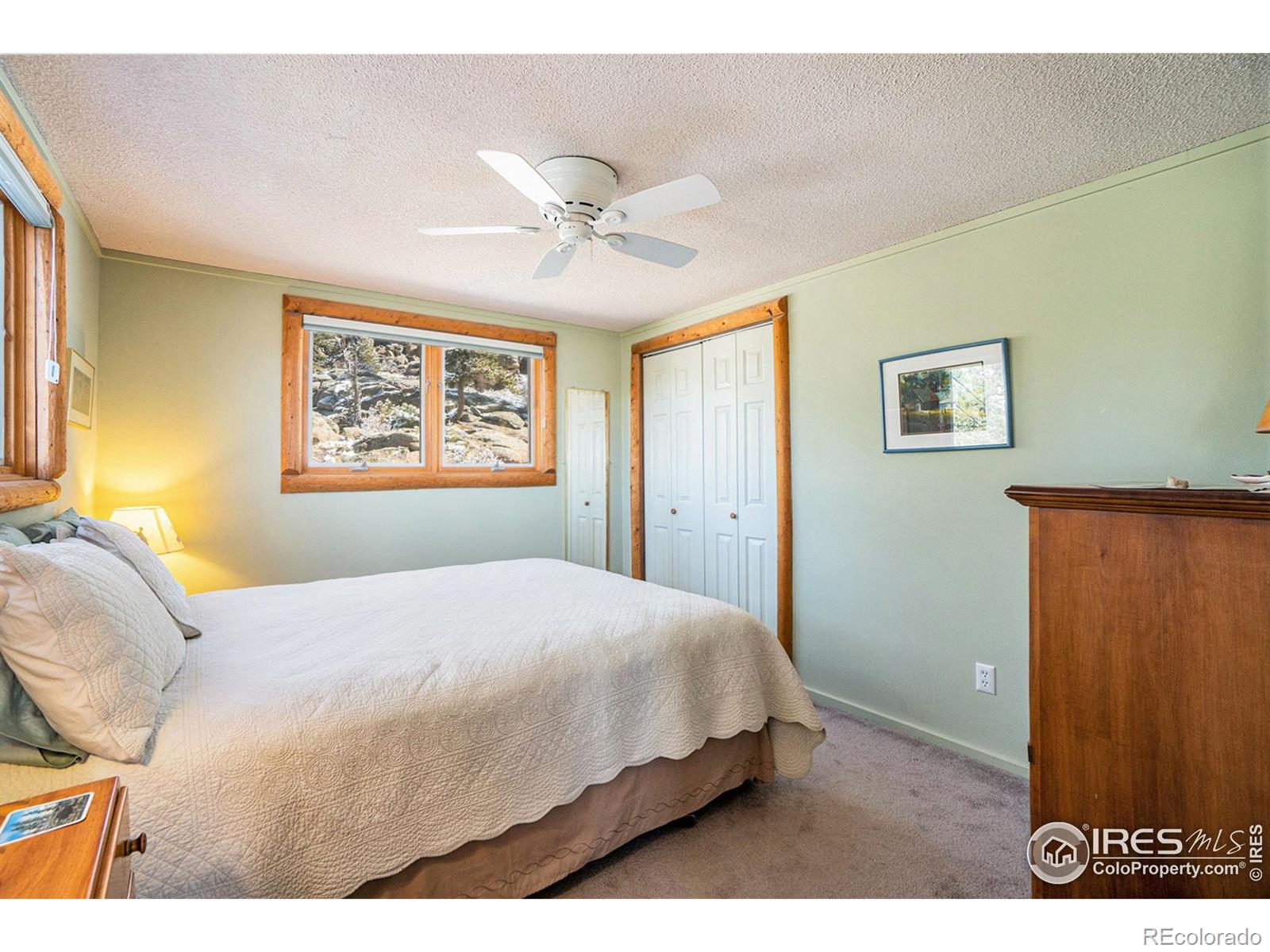 MLS Image #16 for 301  pine tree drive,estes park, Colorado